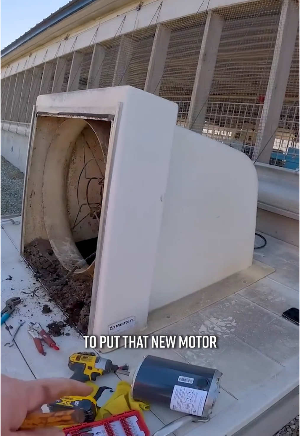 Video post by @thislldofarm on TikTok