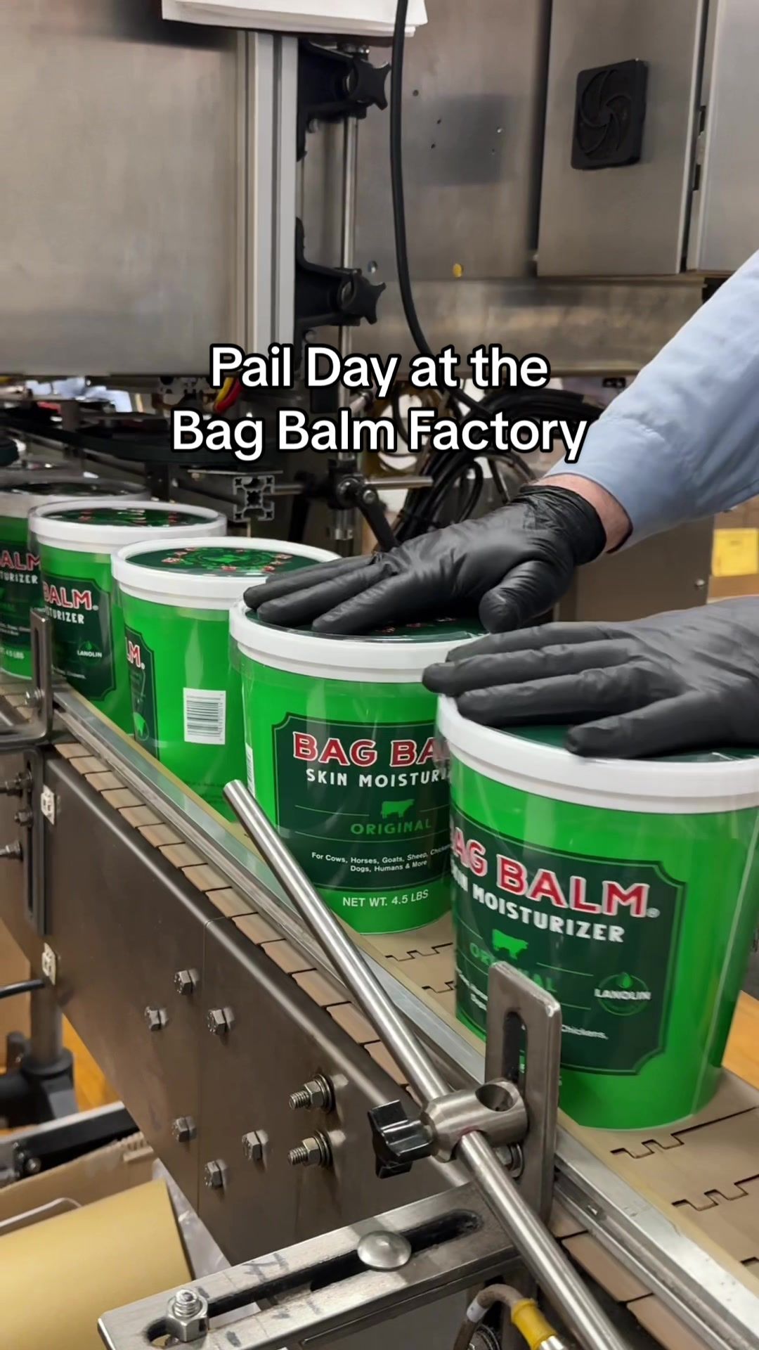 Video post by @originalbagbalm on TikTok