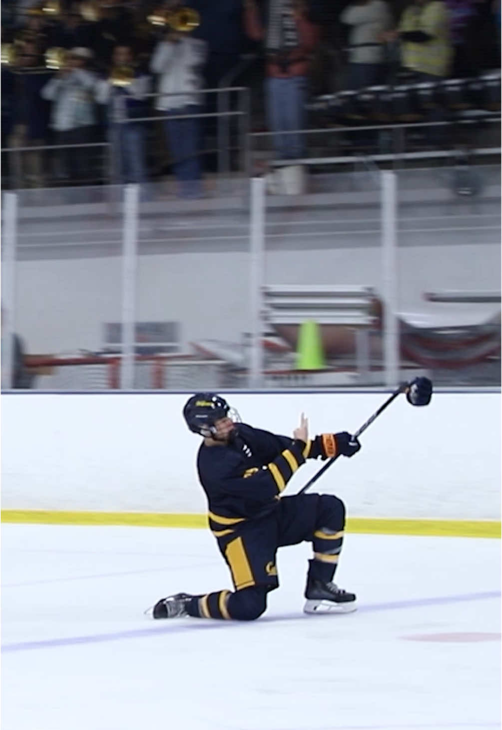 Video post by @calhockey on TikTok