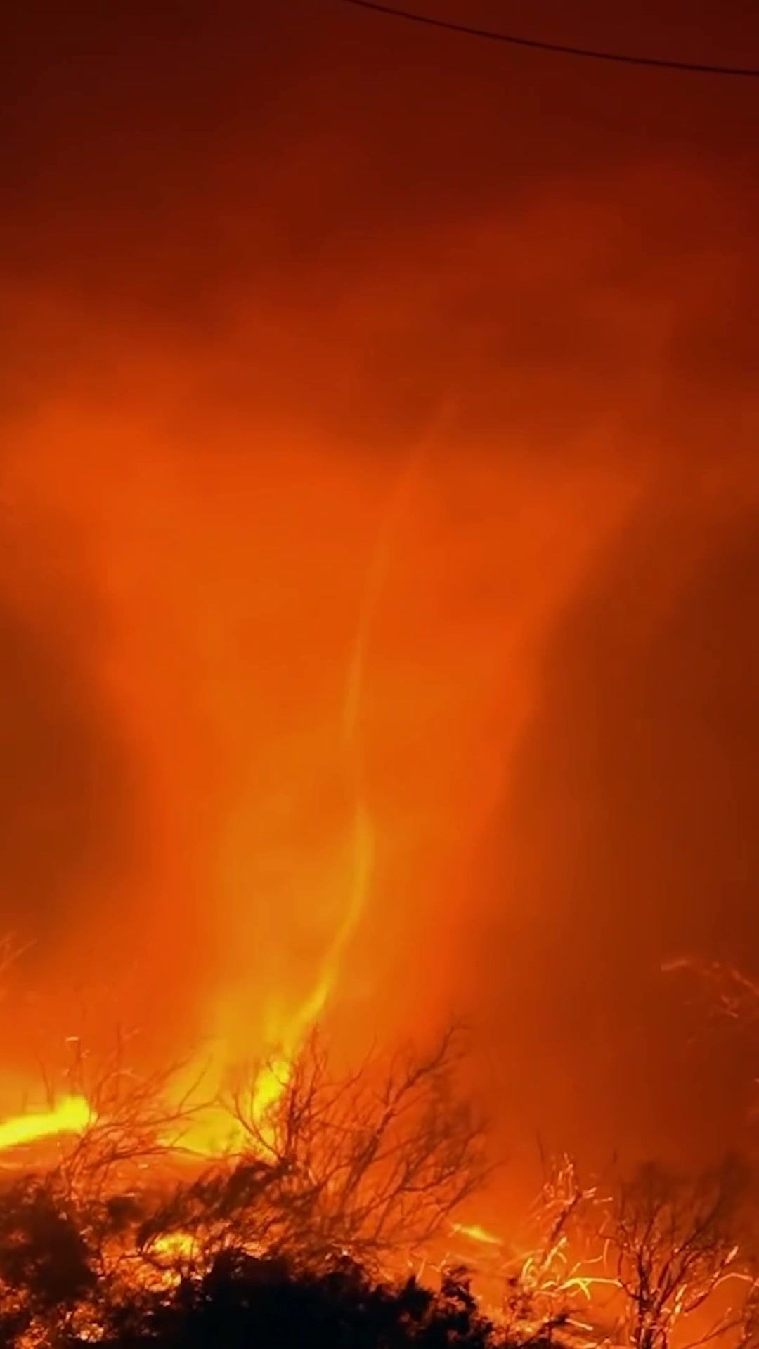 Video post by @discovery on TikTok