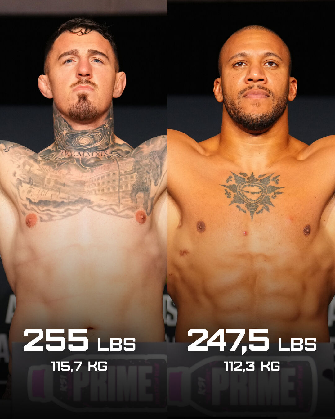 Video post by @mola.sport on TikTok