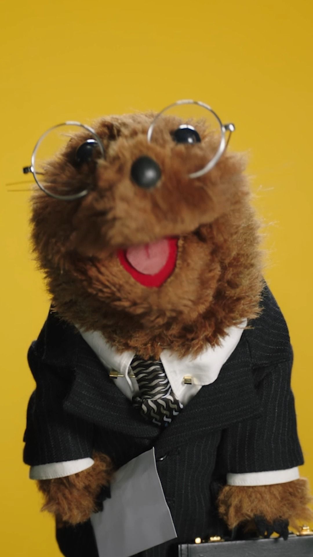 Video post by @muppets on Facebook