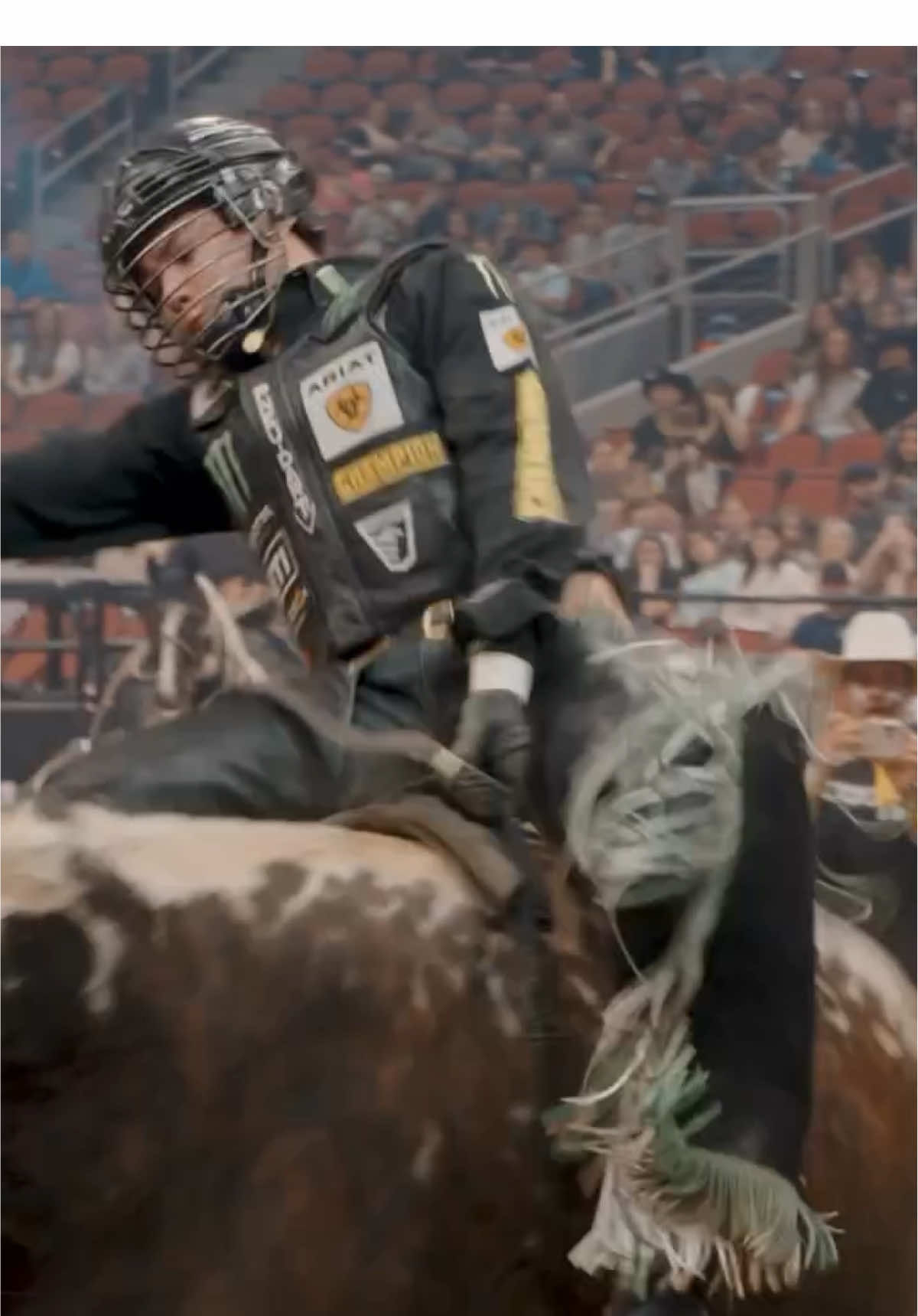 Video post by @pbr on TikTok