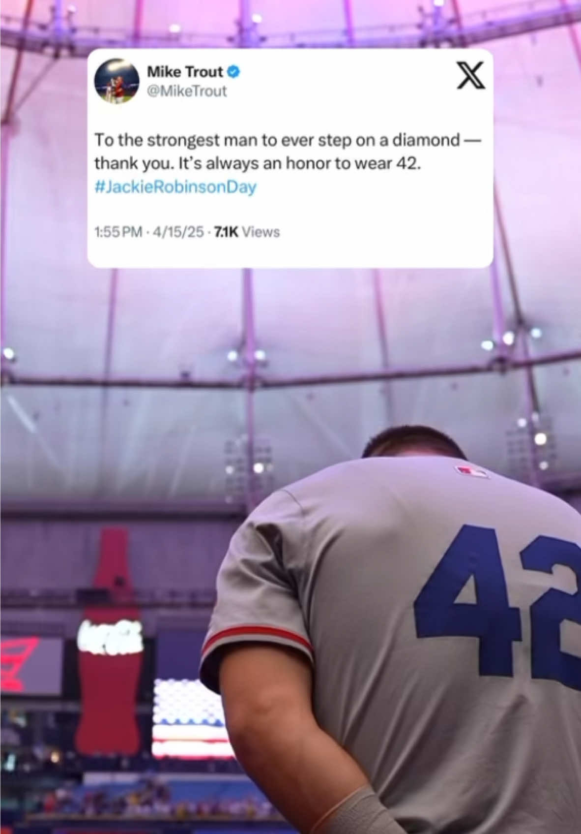Video post by @miketrout on TikTok