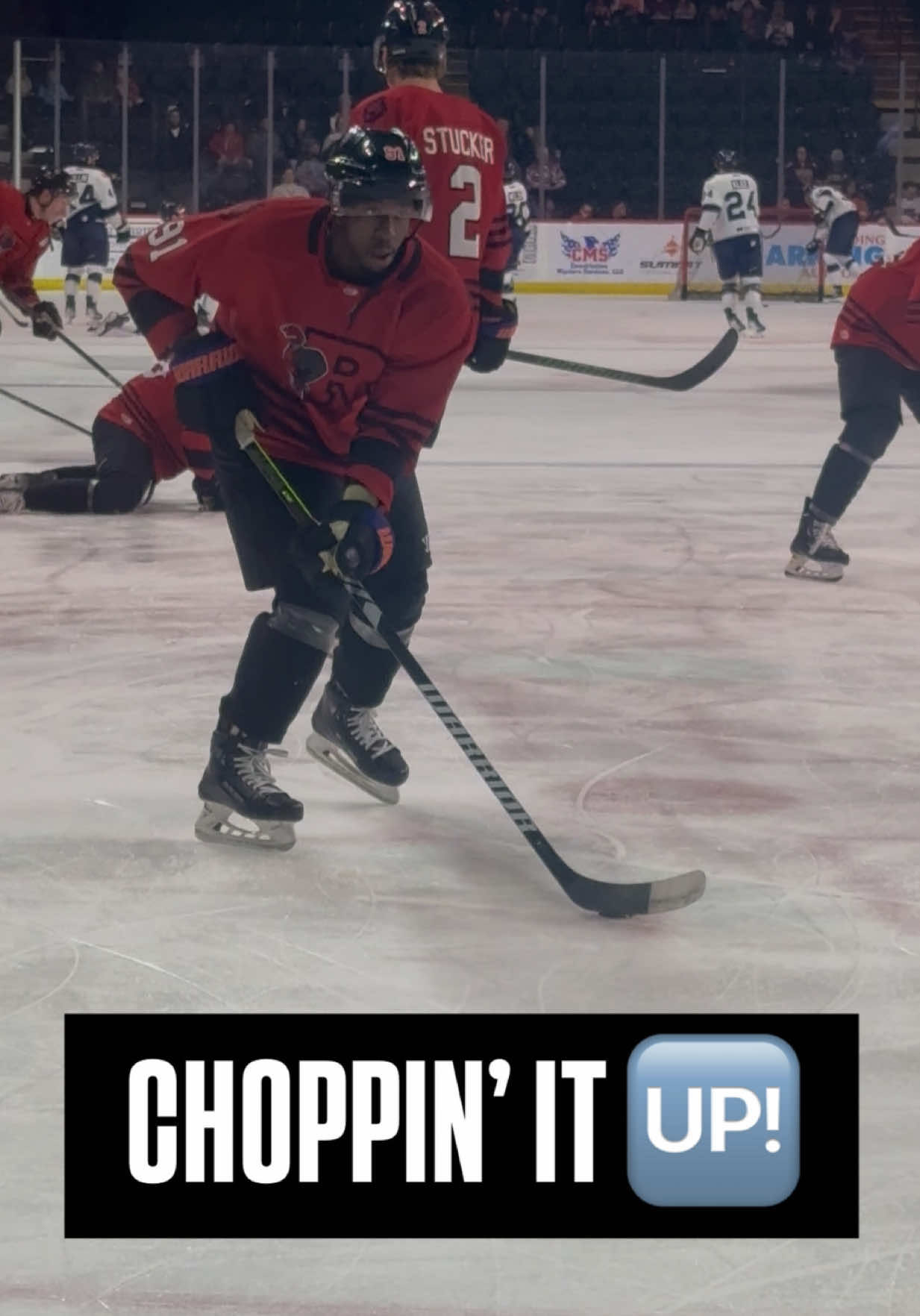 Video post by @readingroyals on TikTok