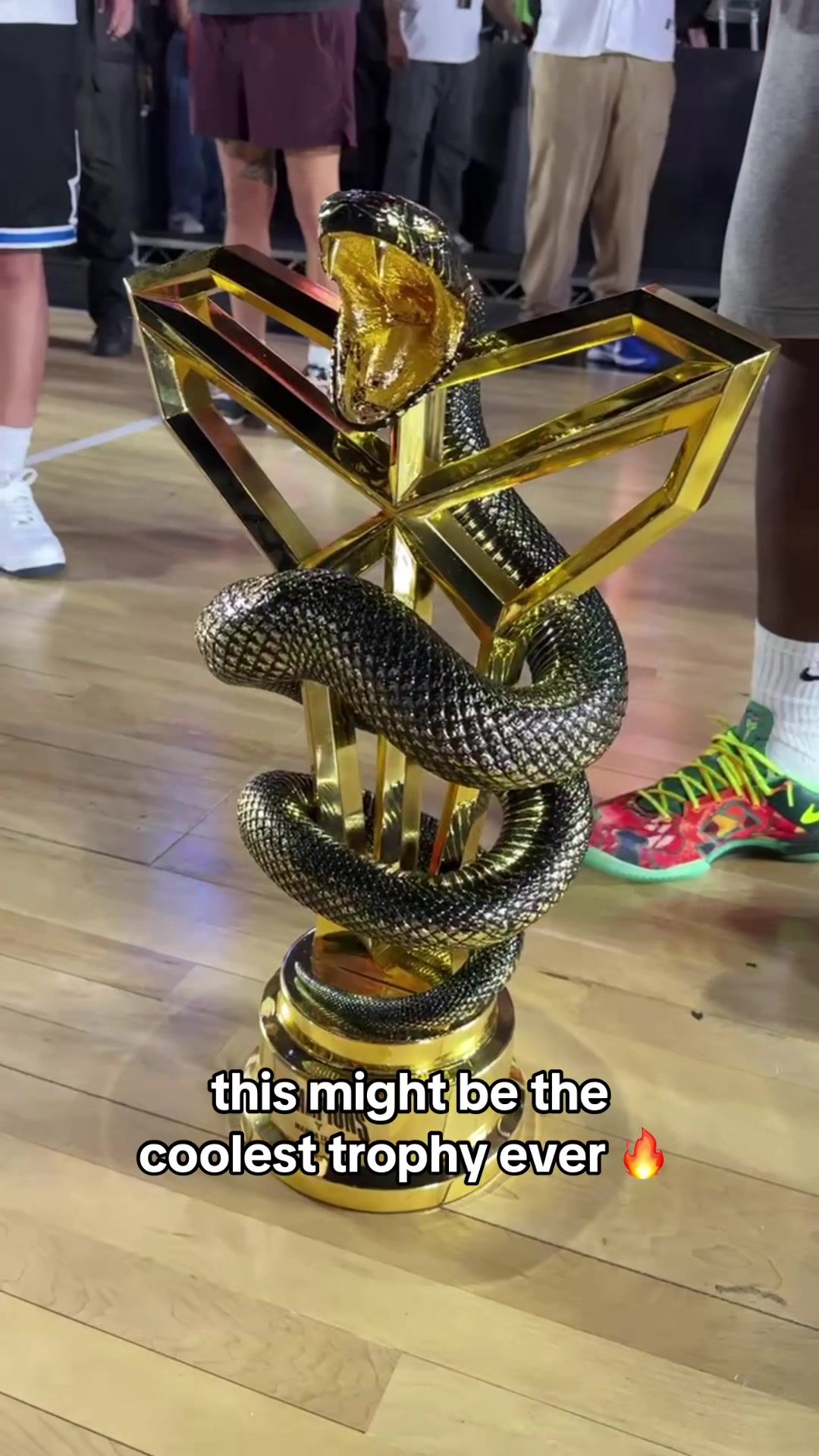 Video post by @nbafuturestartsnow on TikTok