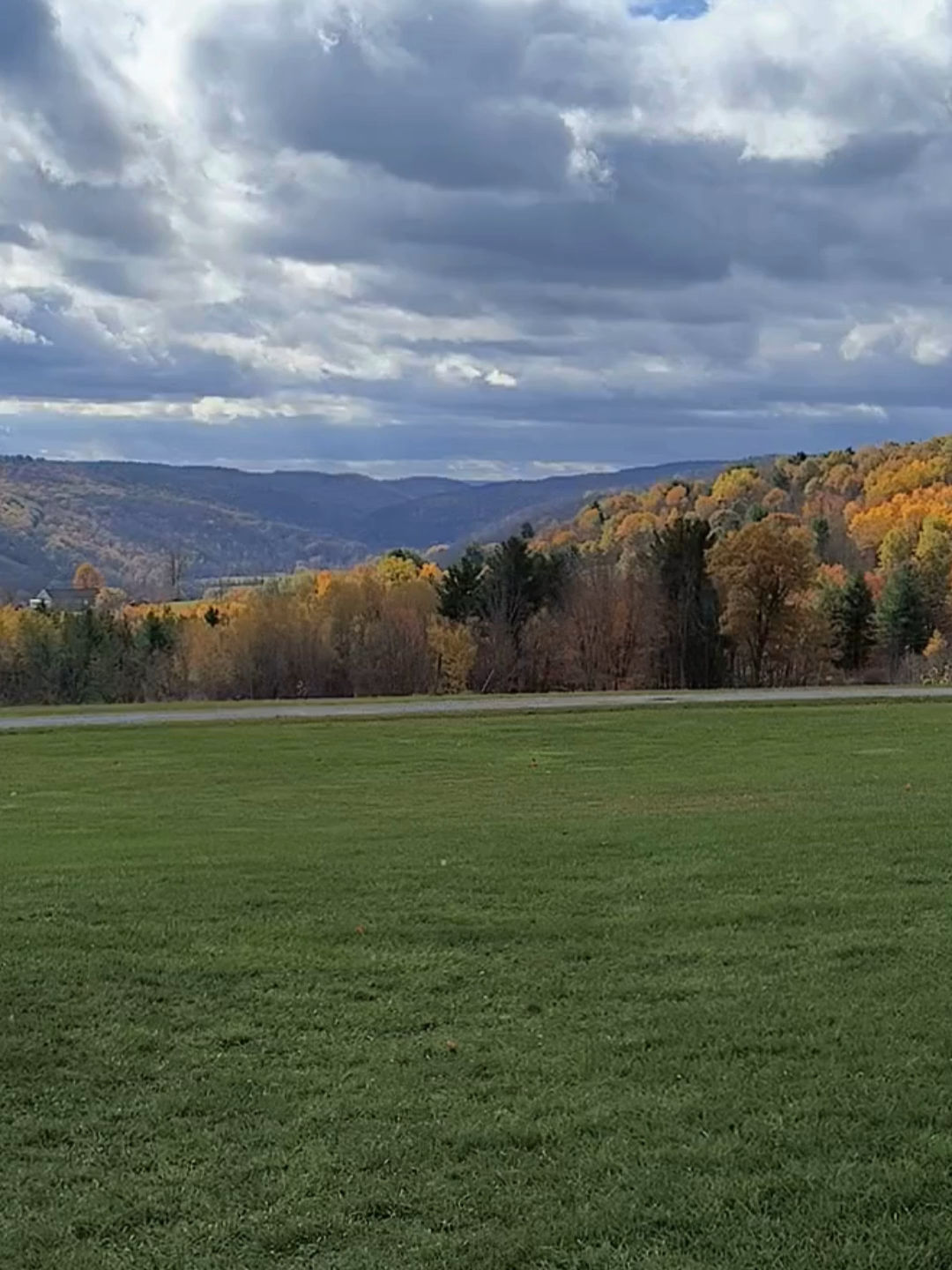 Video post by @builtbylaureline on TikTok