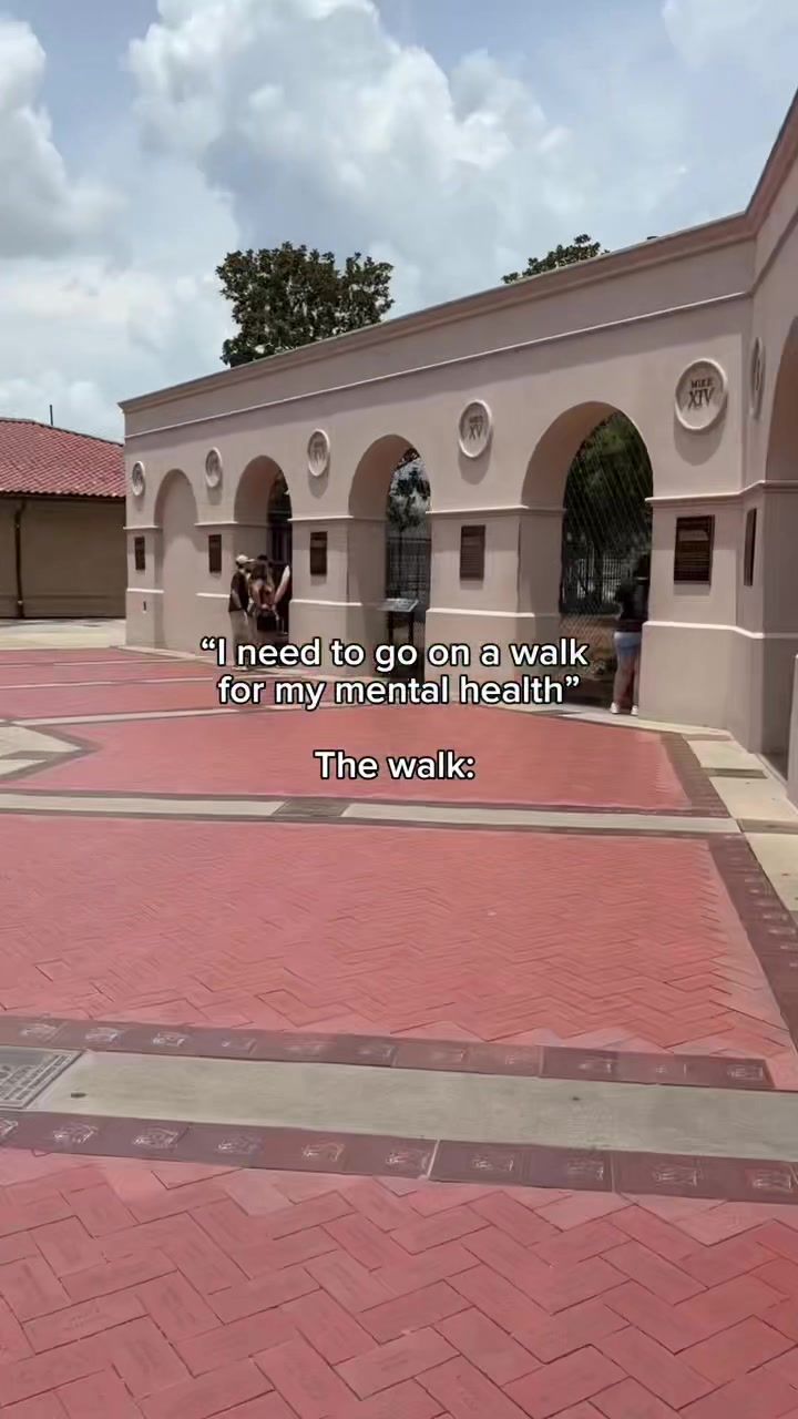 Video post by @lsu on TikTok