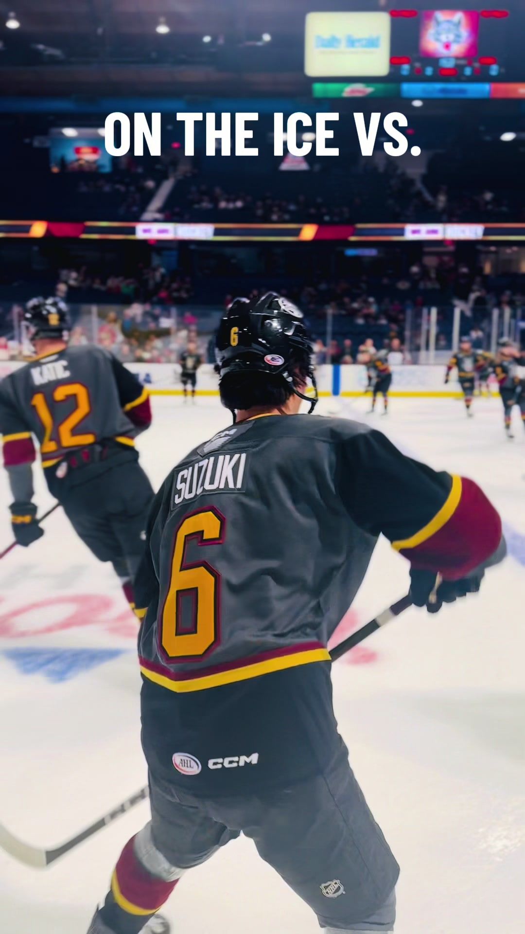 Video post by @chiwolves on TikTok