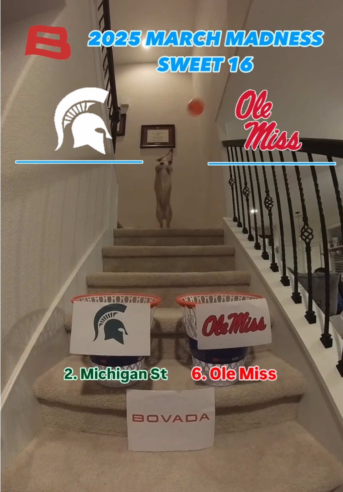 Video post by @aircorg on TikTok