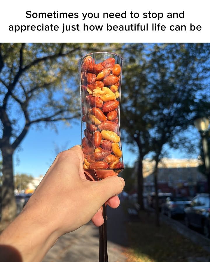 Image post by @mrpeanut on Facebook