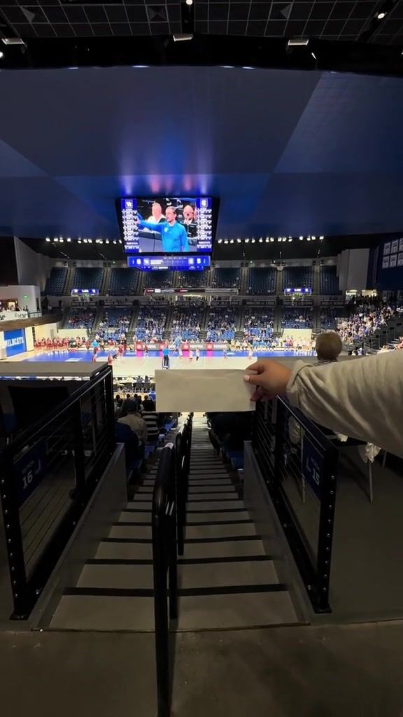 Video post by @_teamwildcat on TikTok