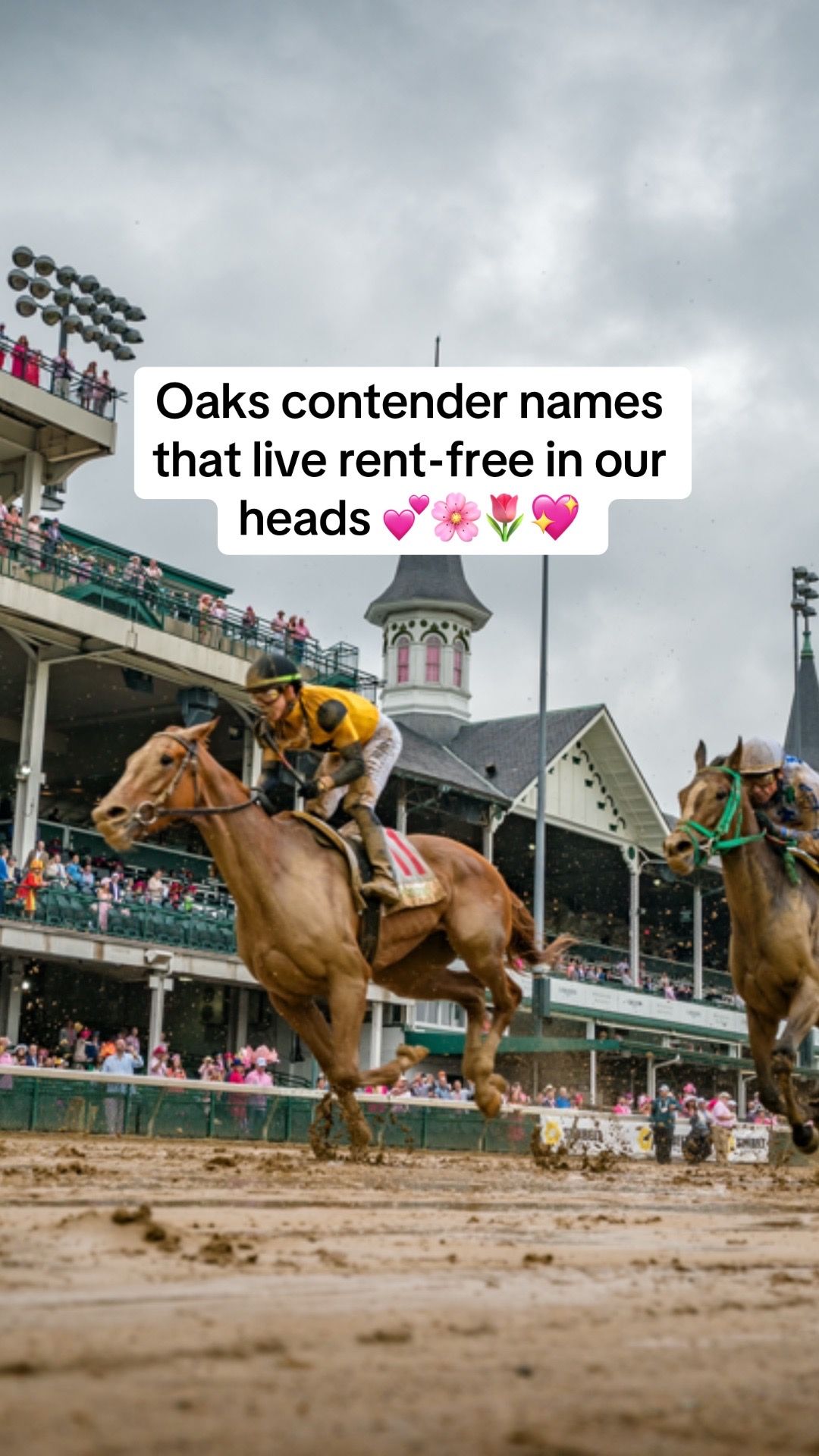 Video post by @kentuckyderby on TikTok