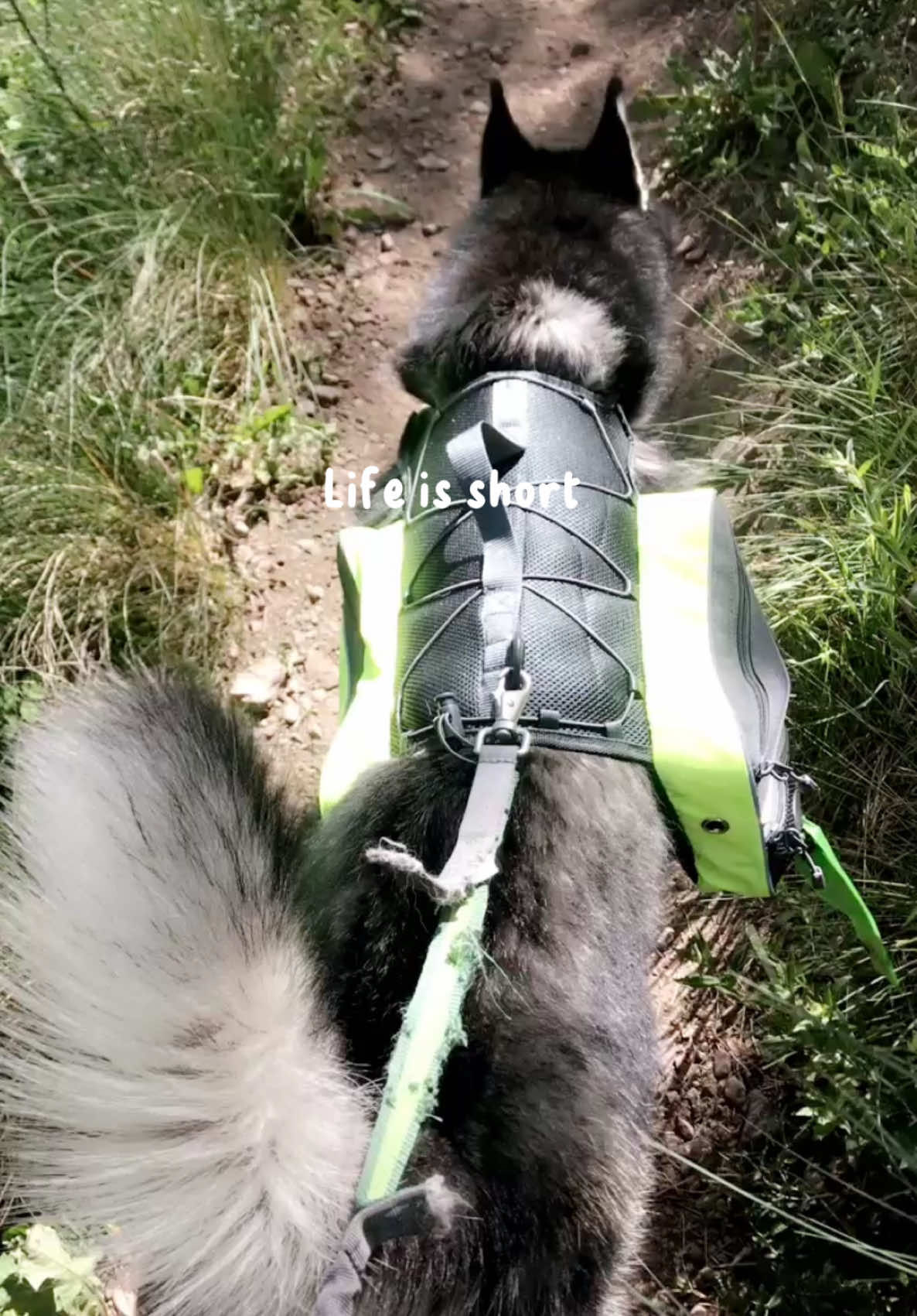 Video post by @evegodat on TikTok