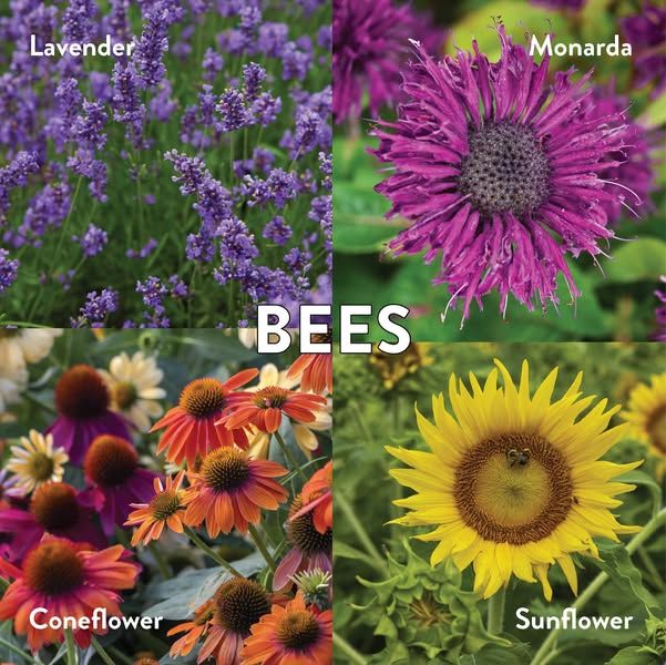 Image post by @BurpeeGardening on Facebook