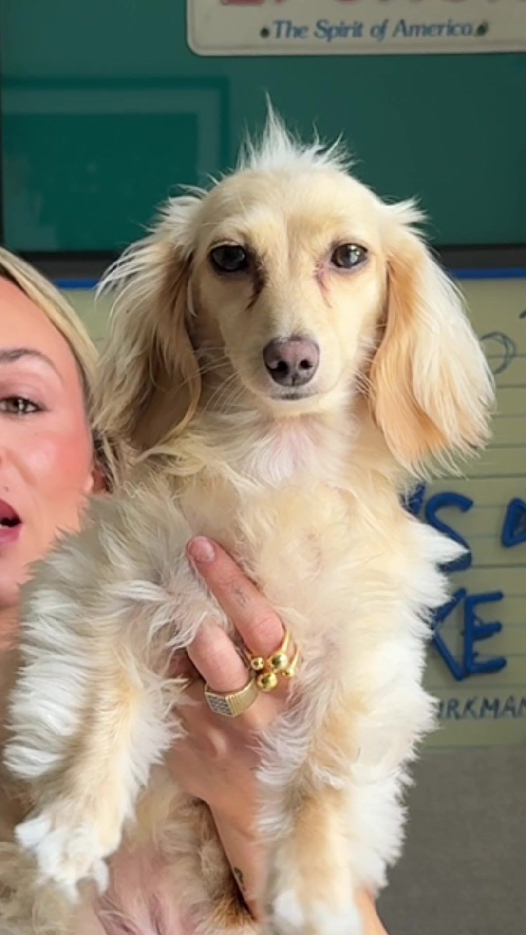 Video post by @christinakirkman on TikTok