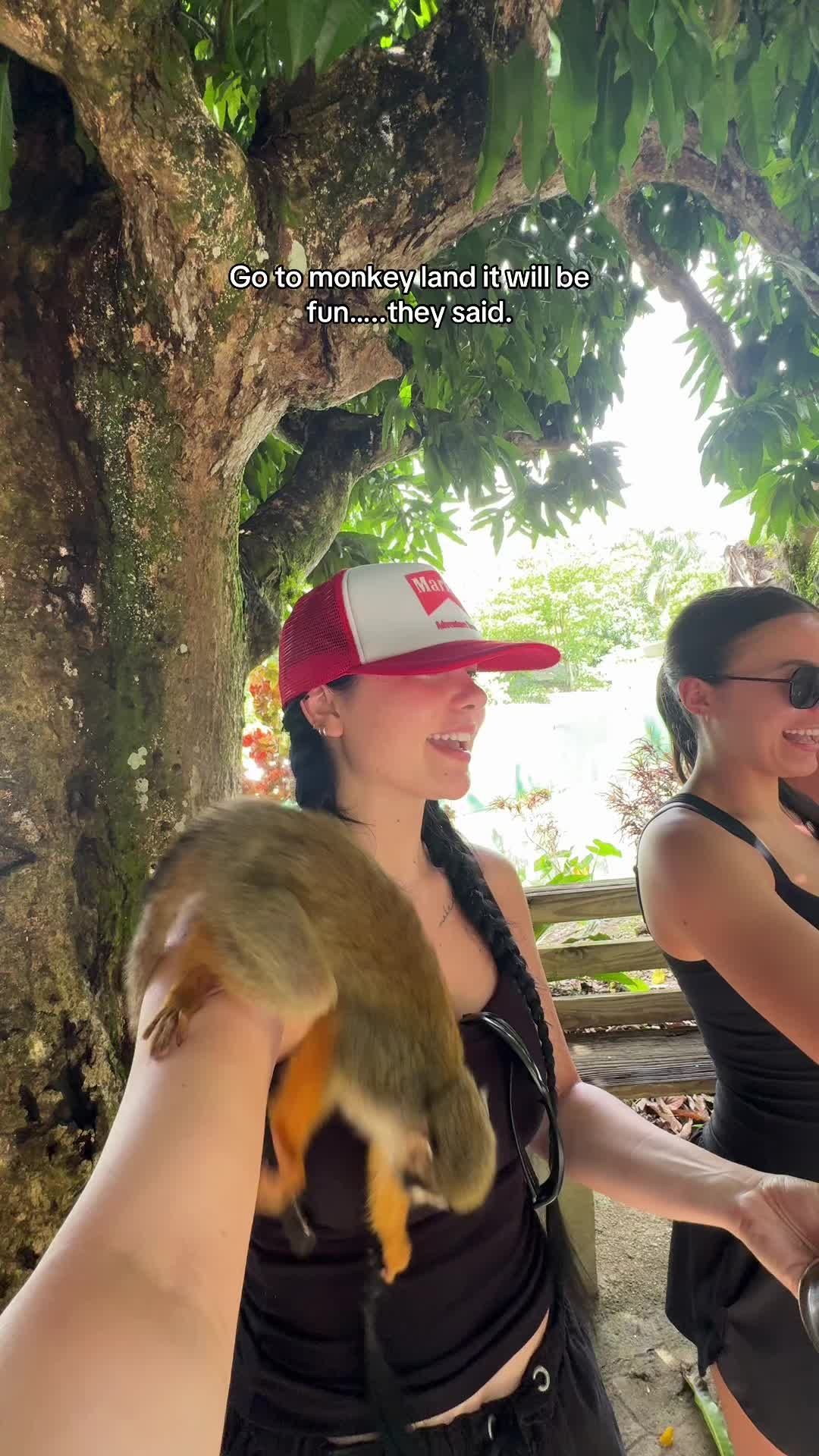 Video post by @laurenspencersmith on TikTok