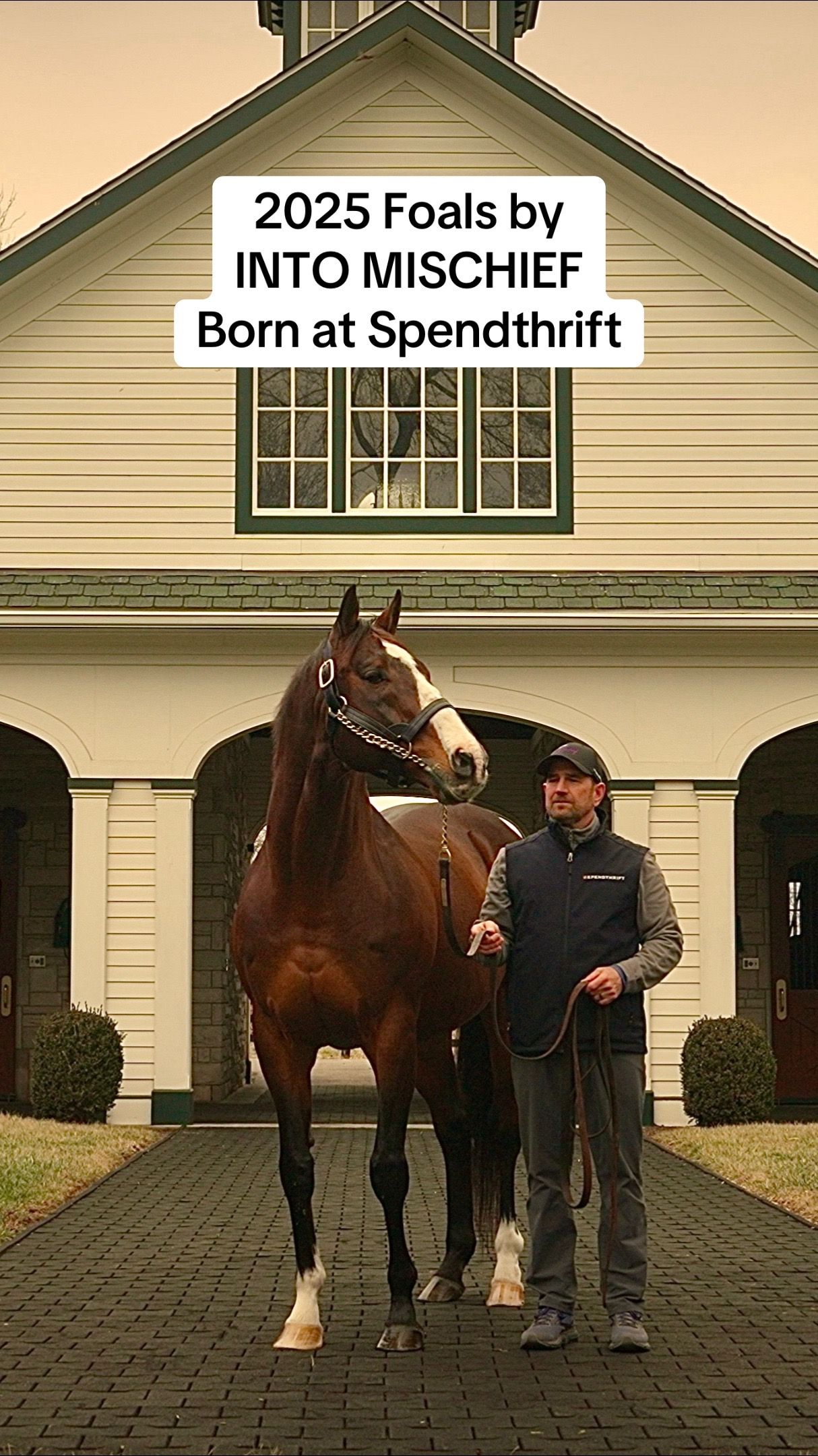 Video post by @spendthriftfarm on TikTok