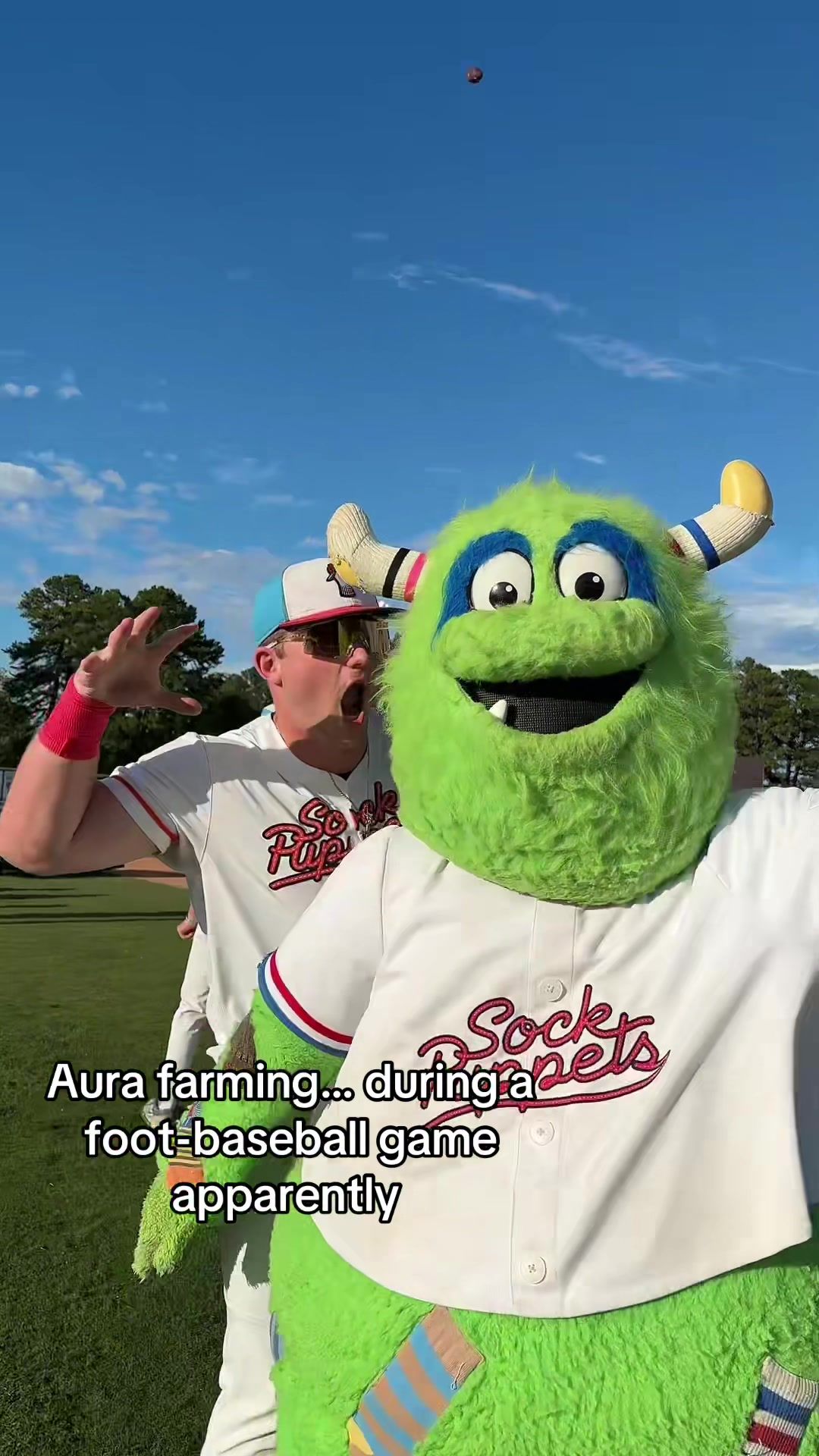 Video post by @gosockpuppets on TikTok