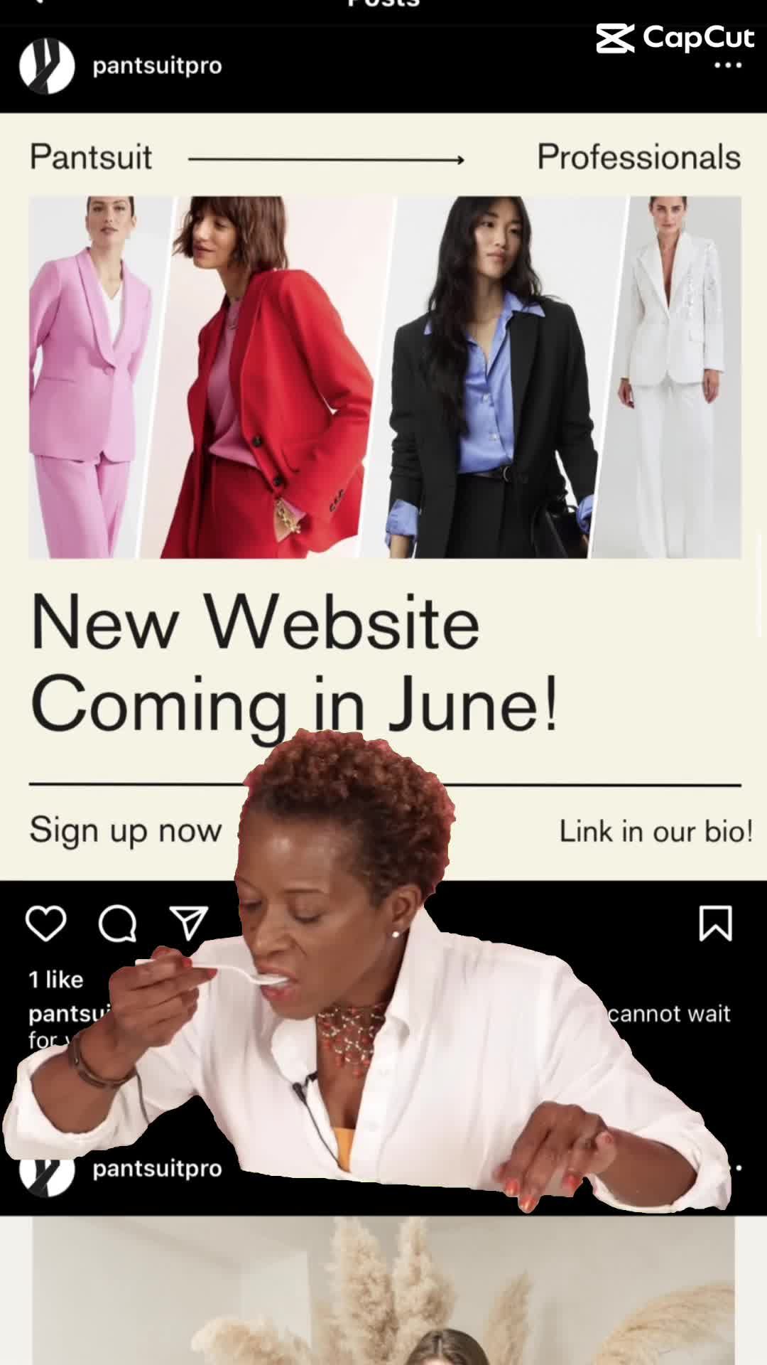 Video post by @pantsuitprofessionals_ on TikTok