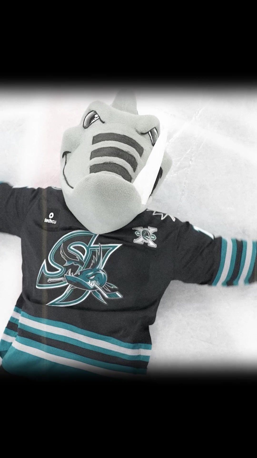 Video post by @sanjosebarracuda on TikTok