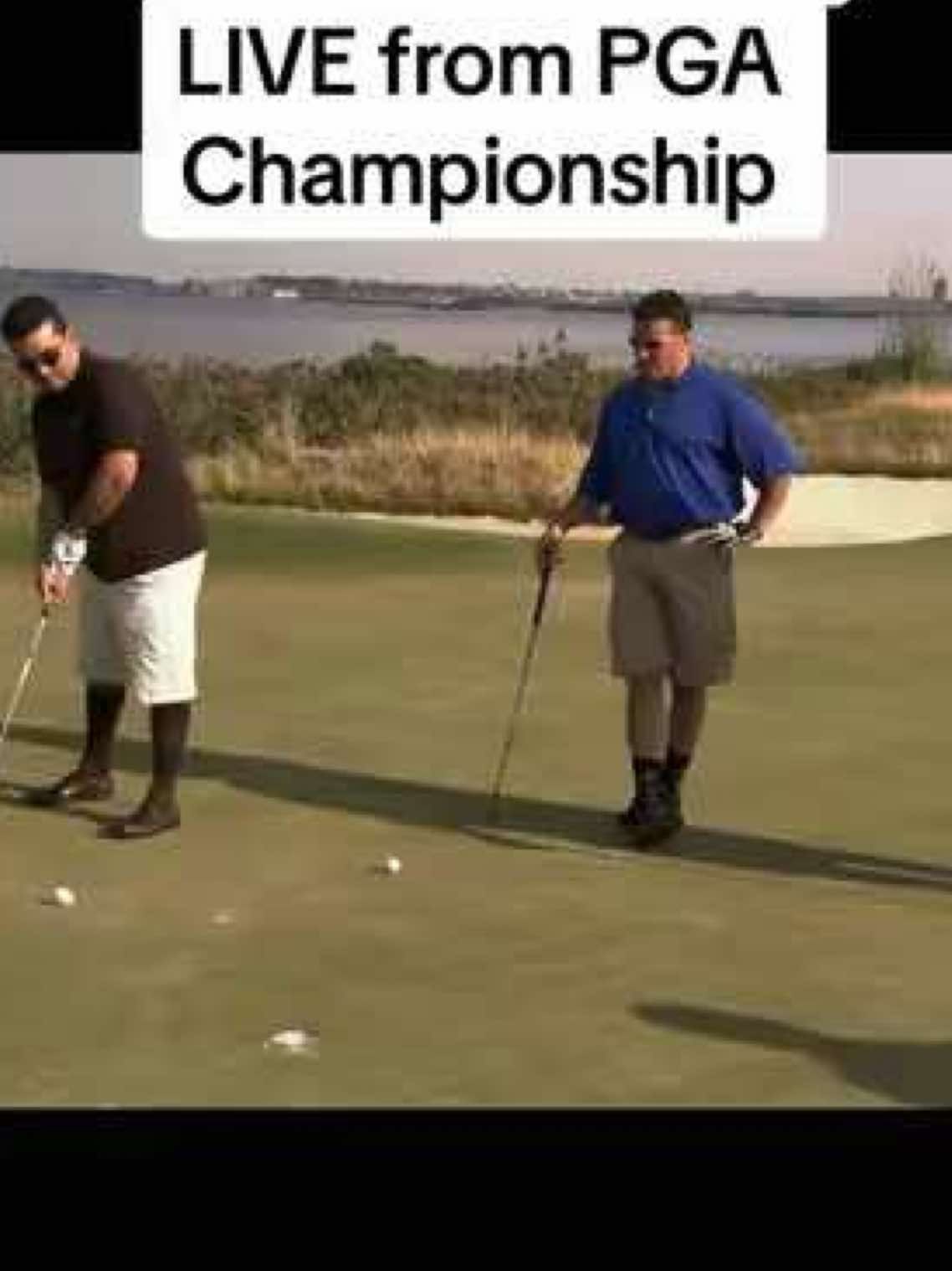 Video post by @buddyvalastro on TikTok