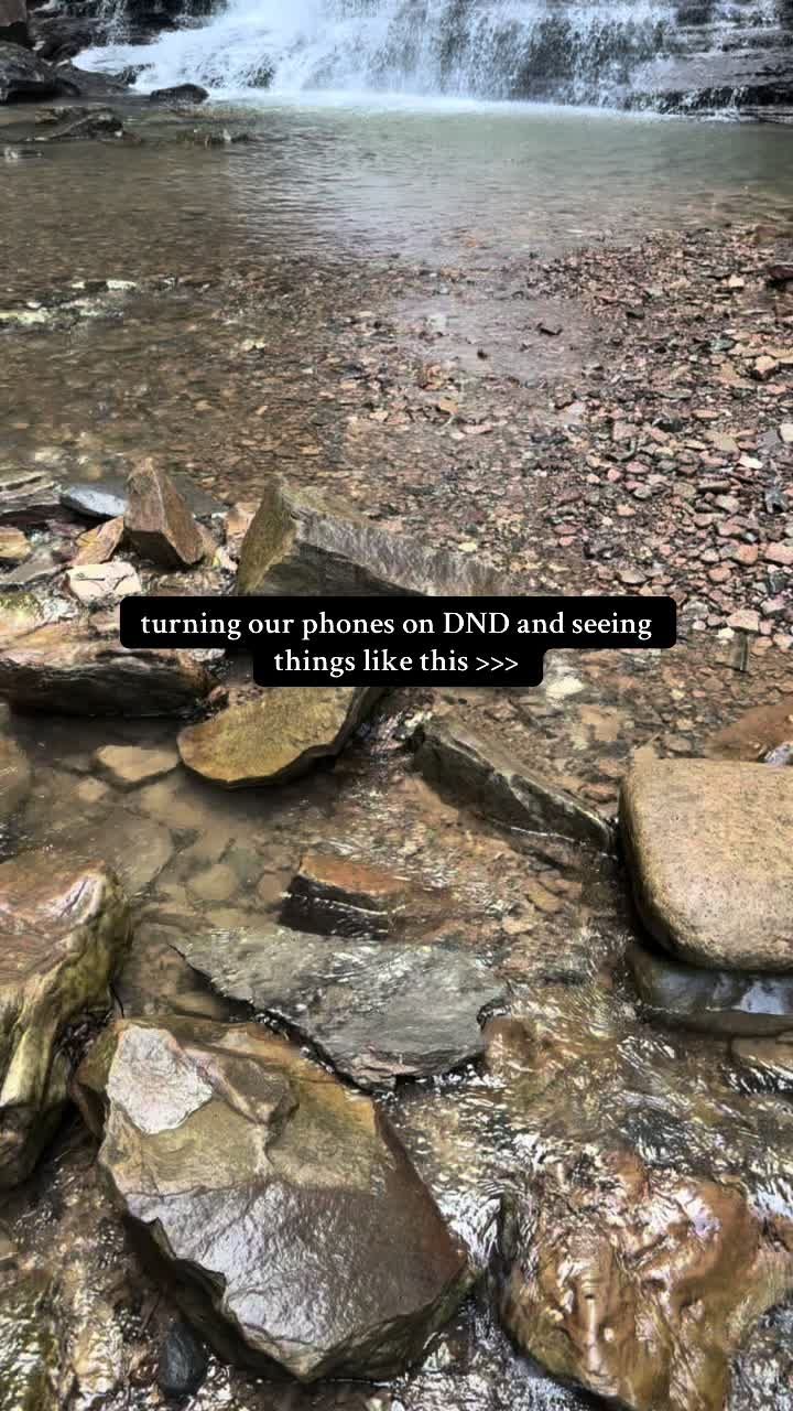 Video post by @timeless.stays on TikTok