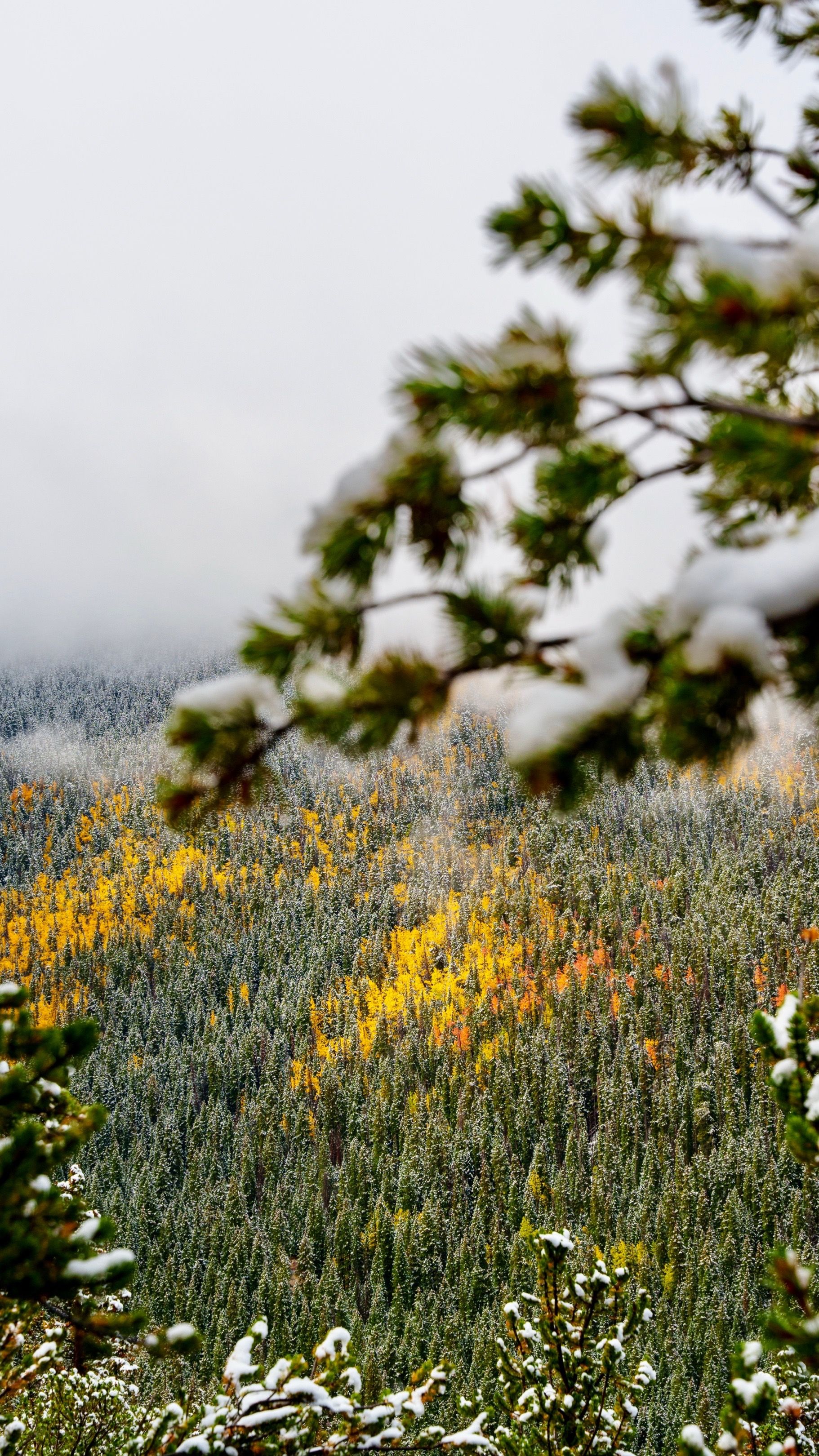 Video post by @mikeytrahan on TikTok