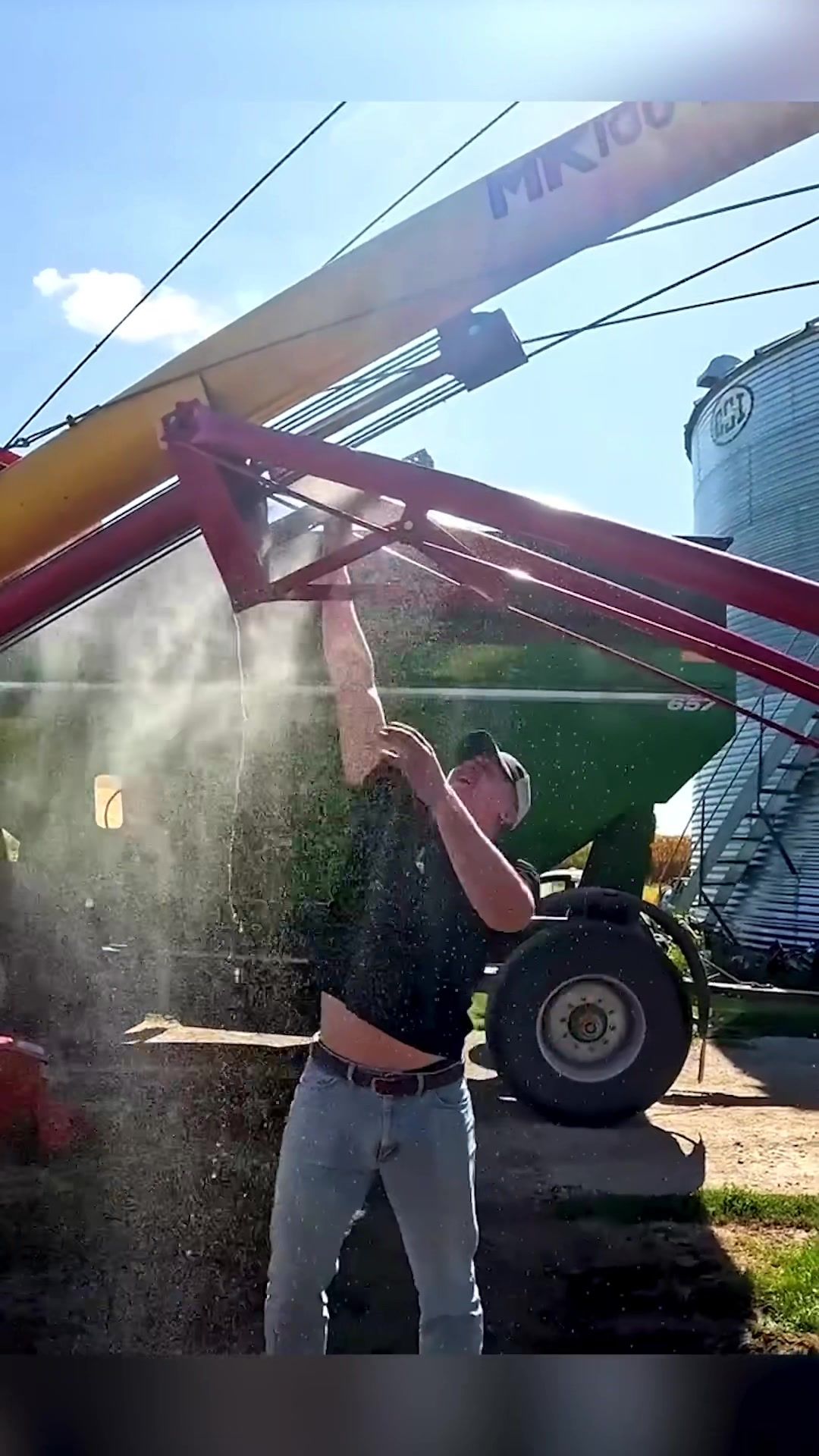 Video post by @thislldofarm on TikTok