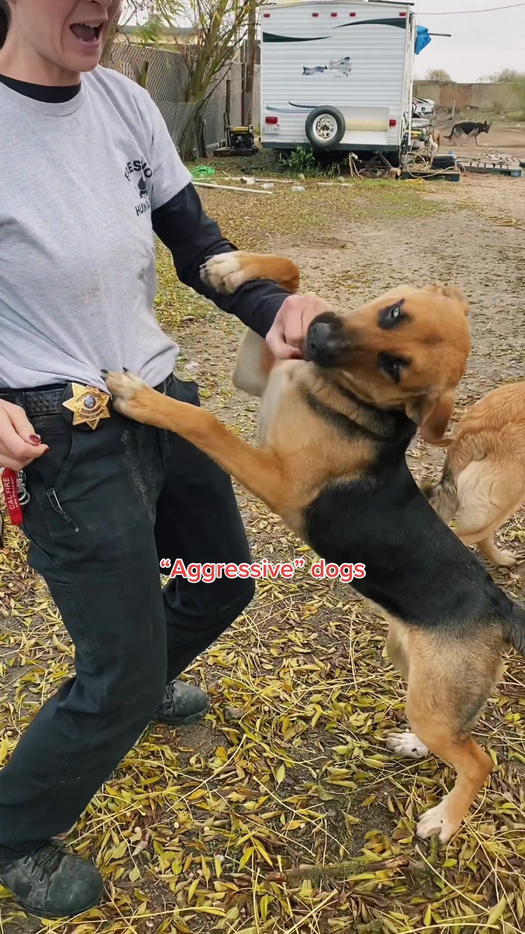 Video post by @acobegin on TikTok