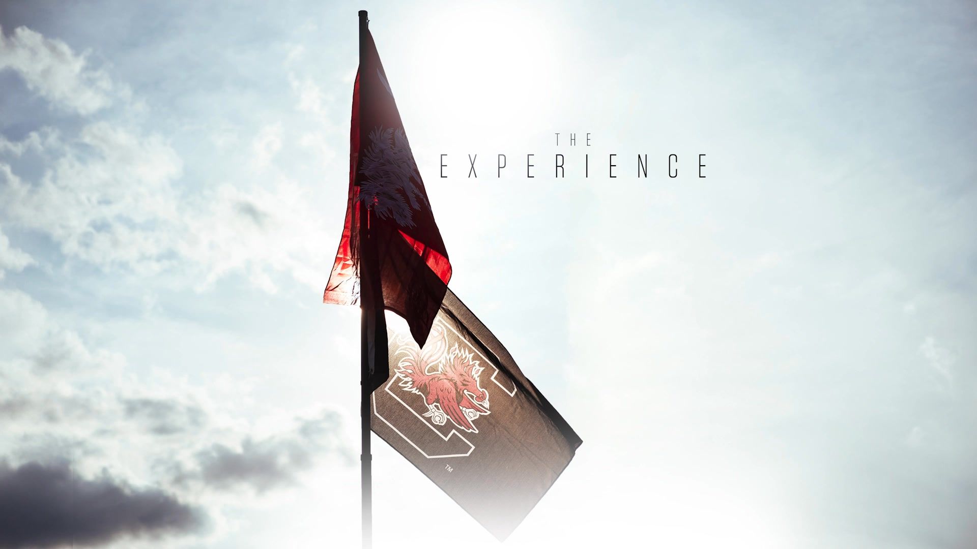 Video post by @GamecockFootball on Facebook