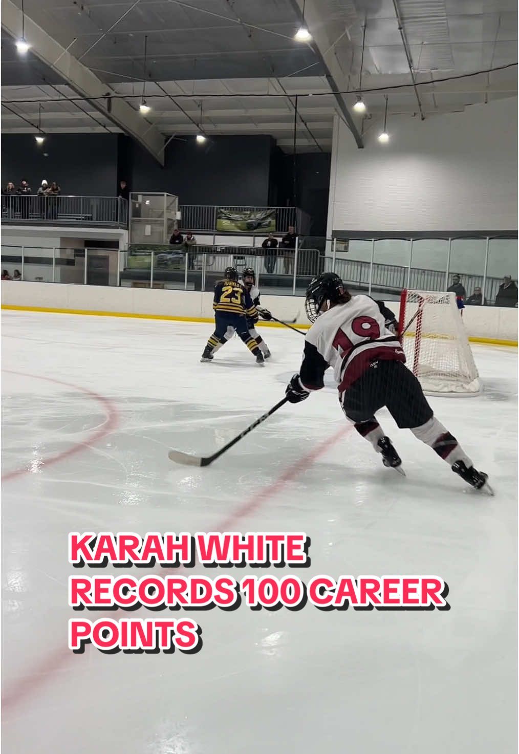 Video post by @arcadia_knights on TikTok