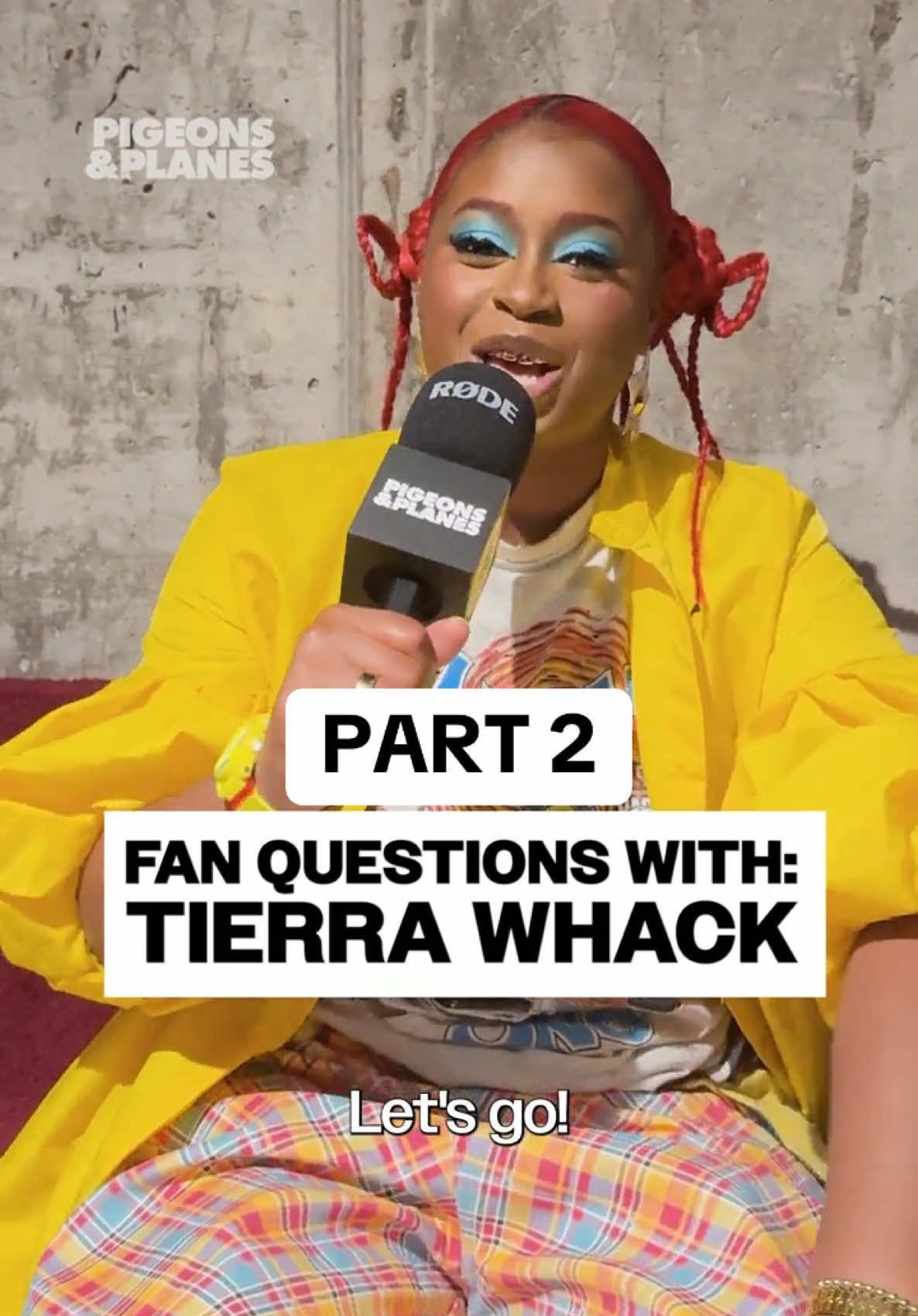 Video post by @pigsandplans on TikTok