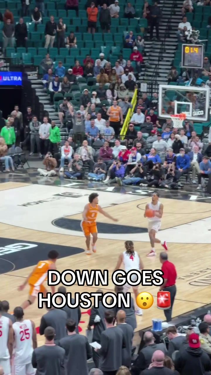 Video post by @houseofhighlights on TikTok