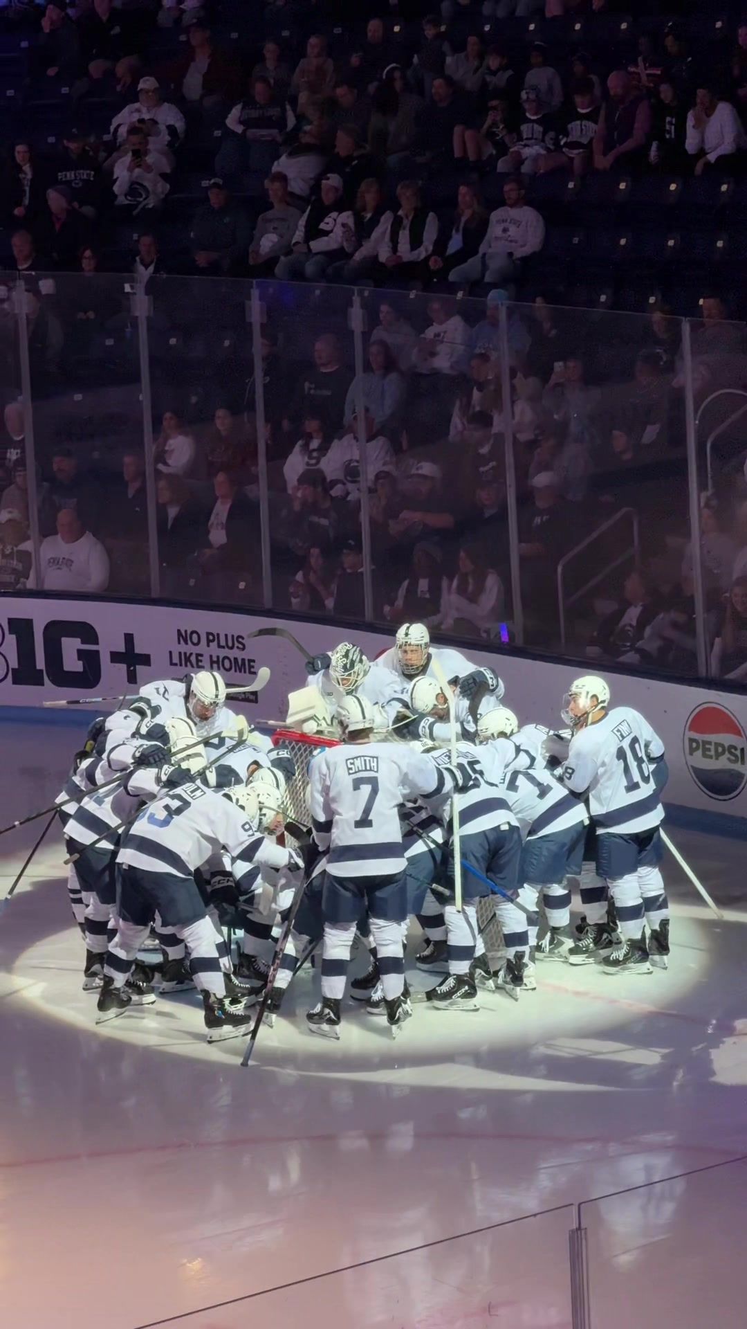 Video post by @roxanne.elle on TikTok