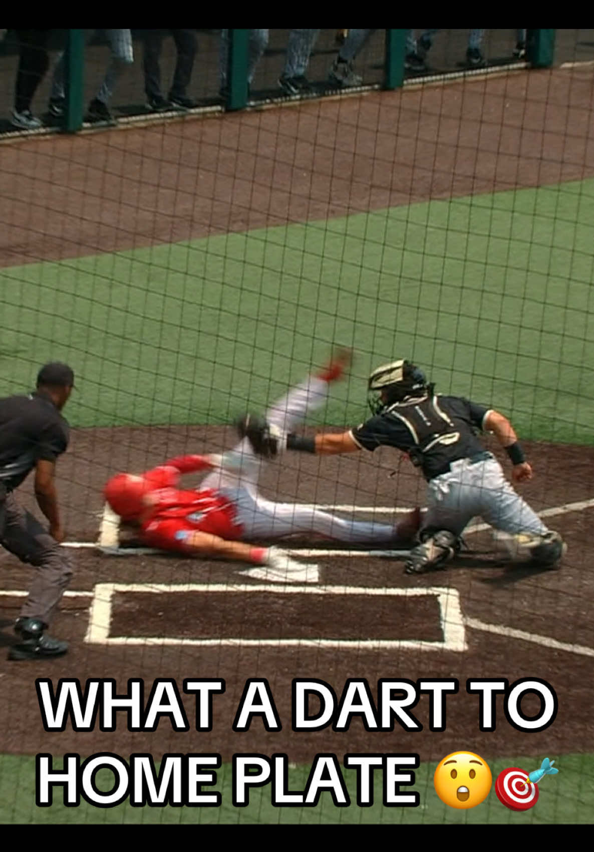 Video post by @accnetwork on TikTok