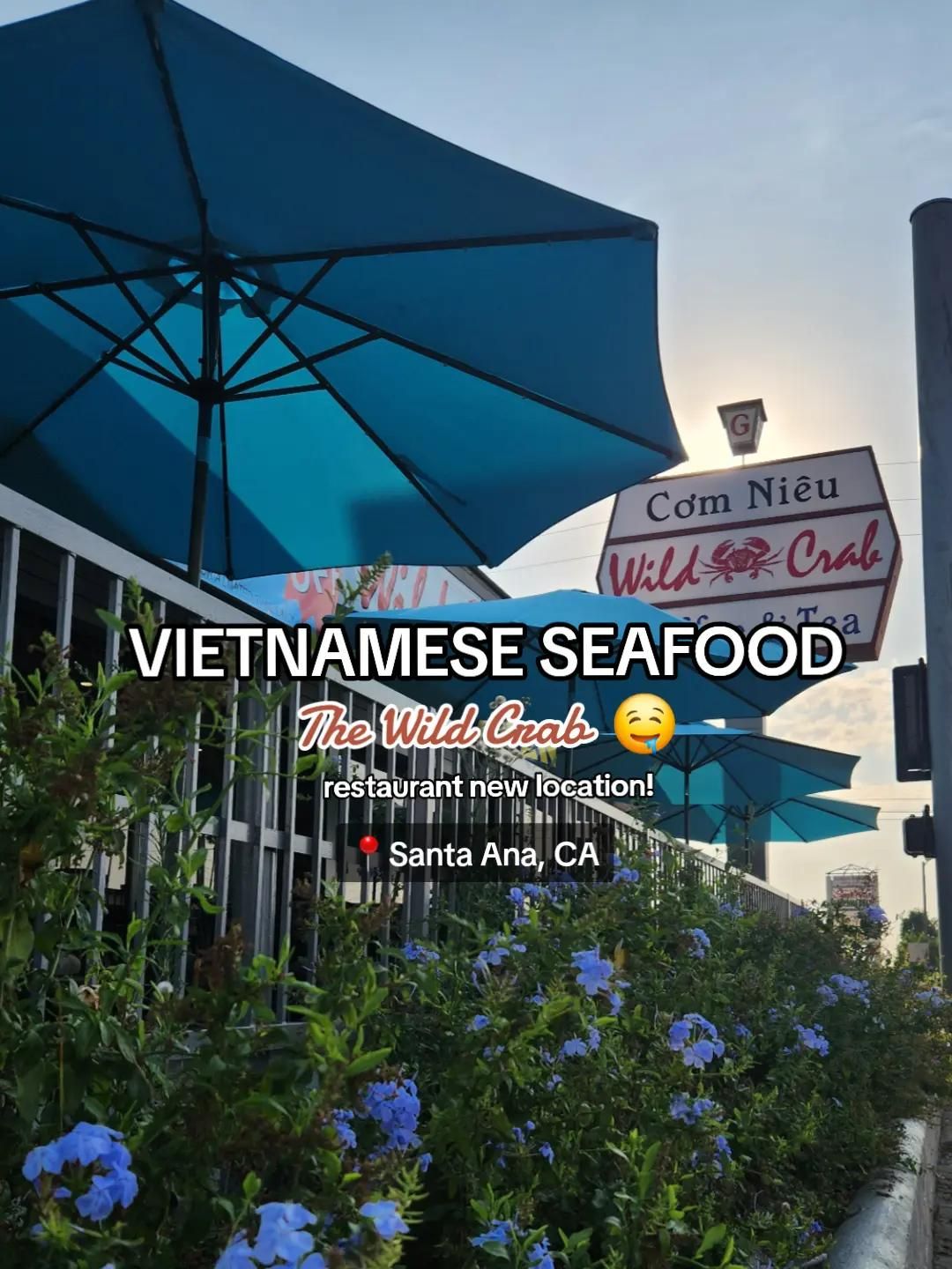 Video post by @thewildcrab on TikTok