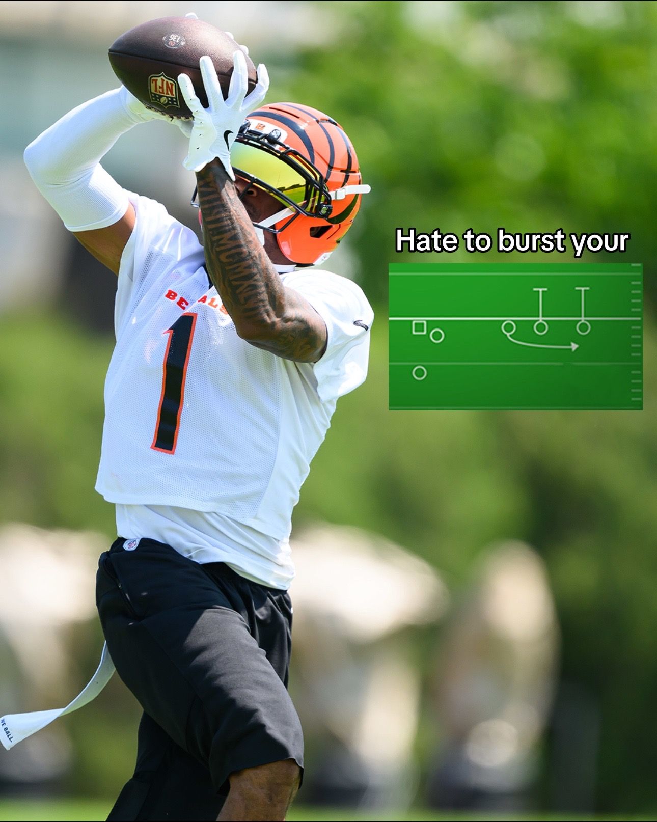 Video post by @bengals on TikTok