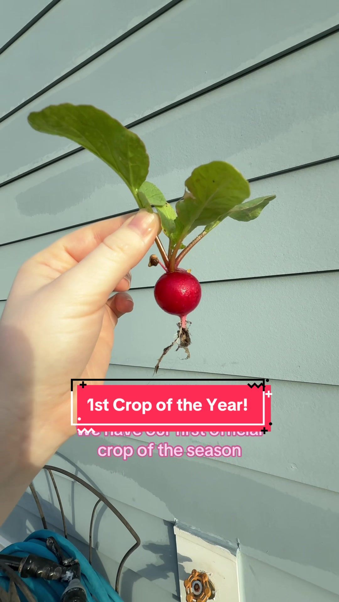 Video post by @marymomo13 on TikTok