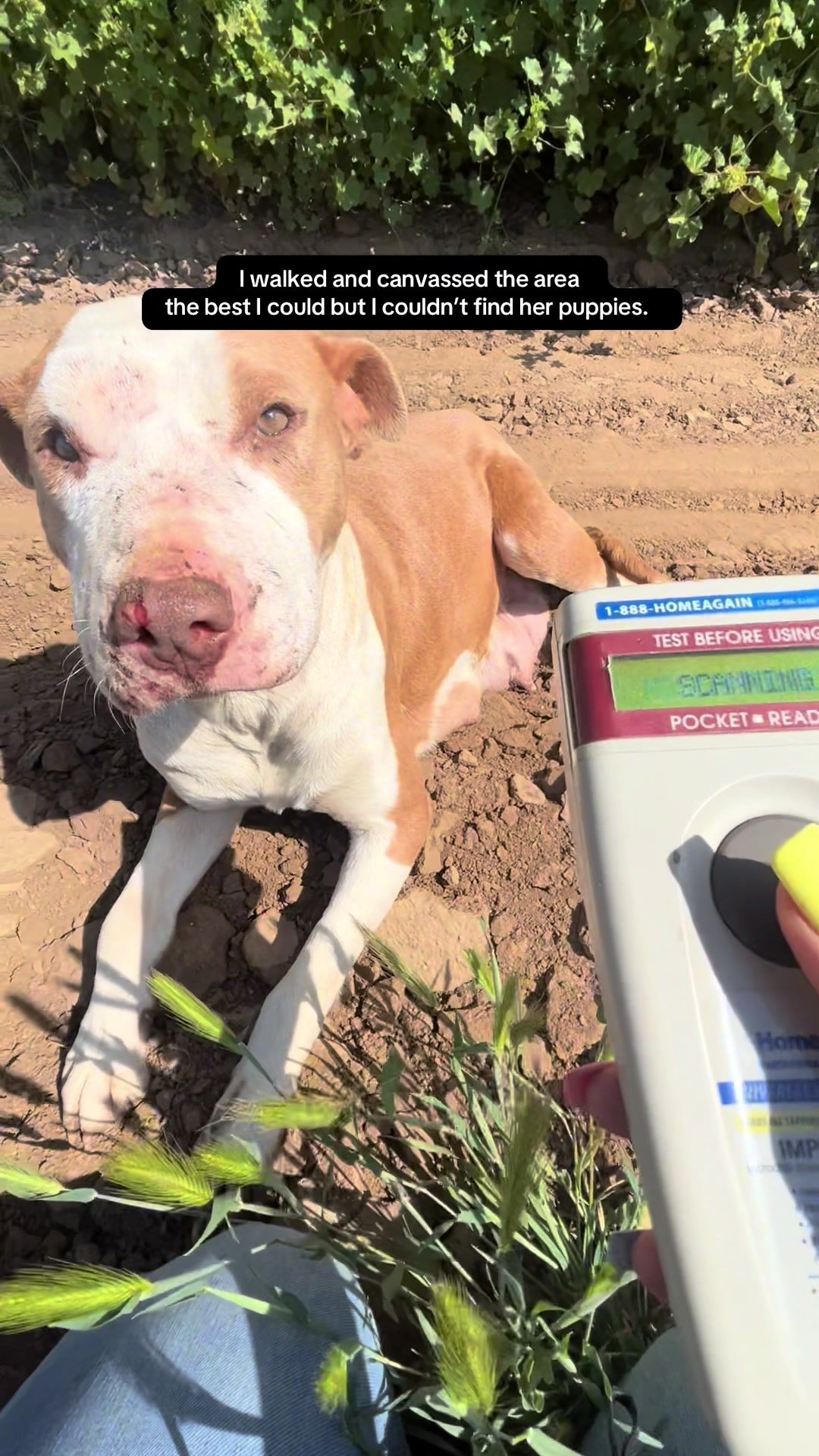 Video post by @acoalcorn13 on TikTok