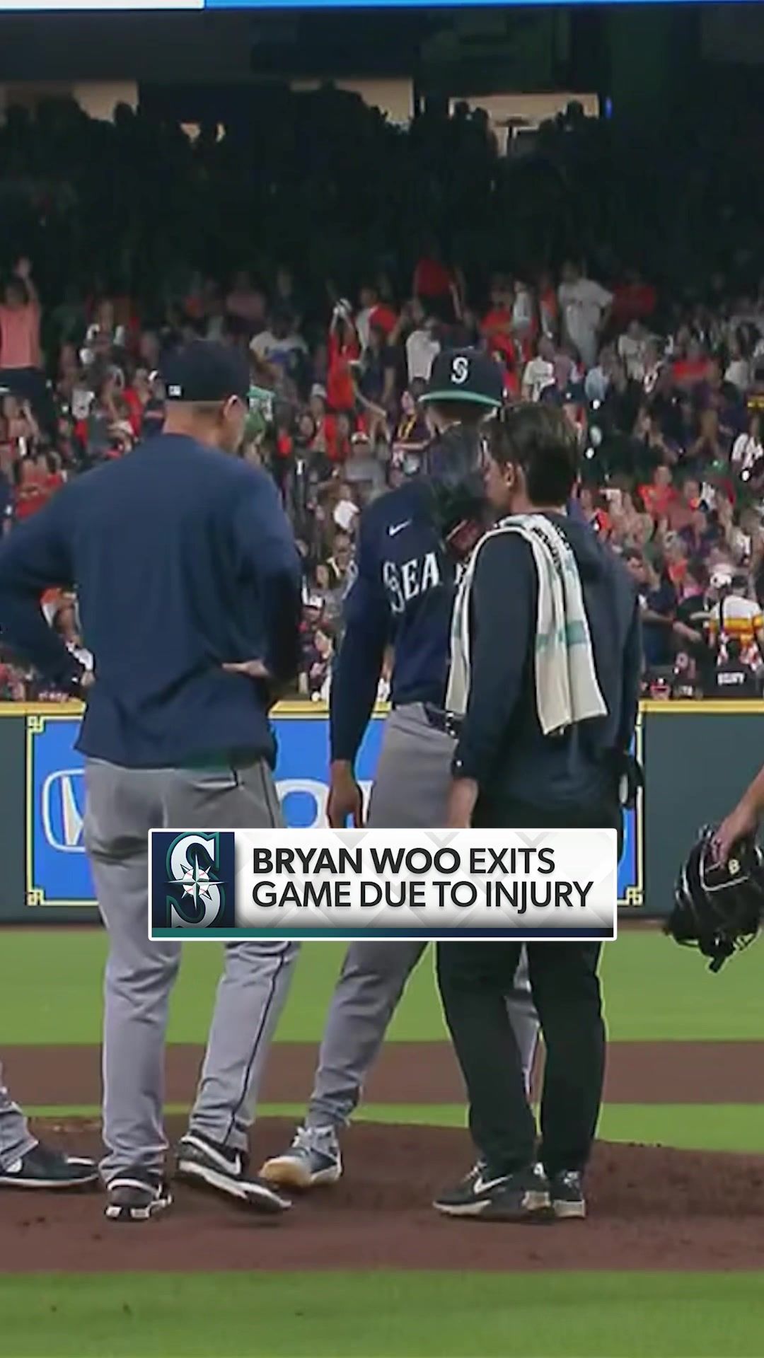 Video post by @mlbonfox on TikTok