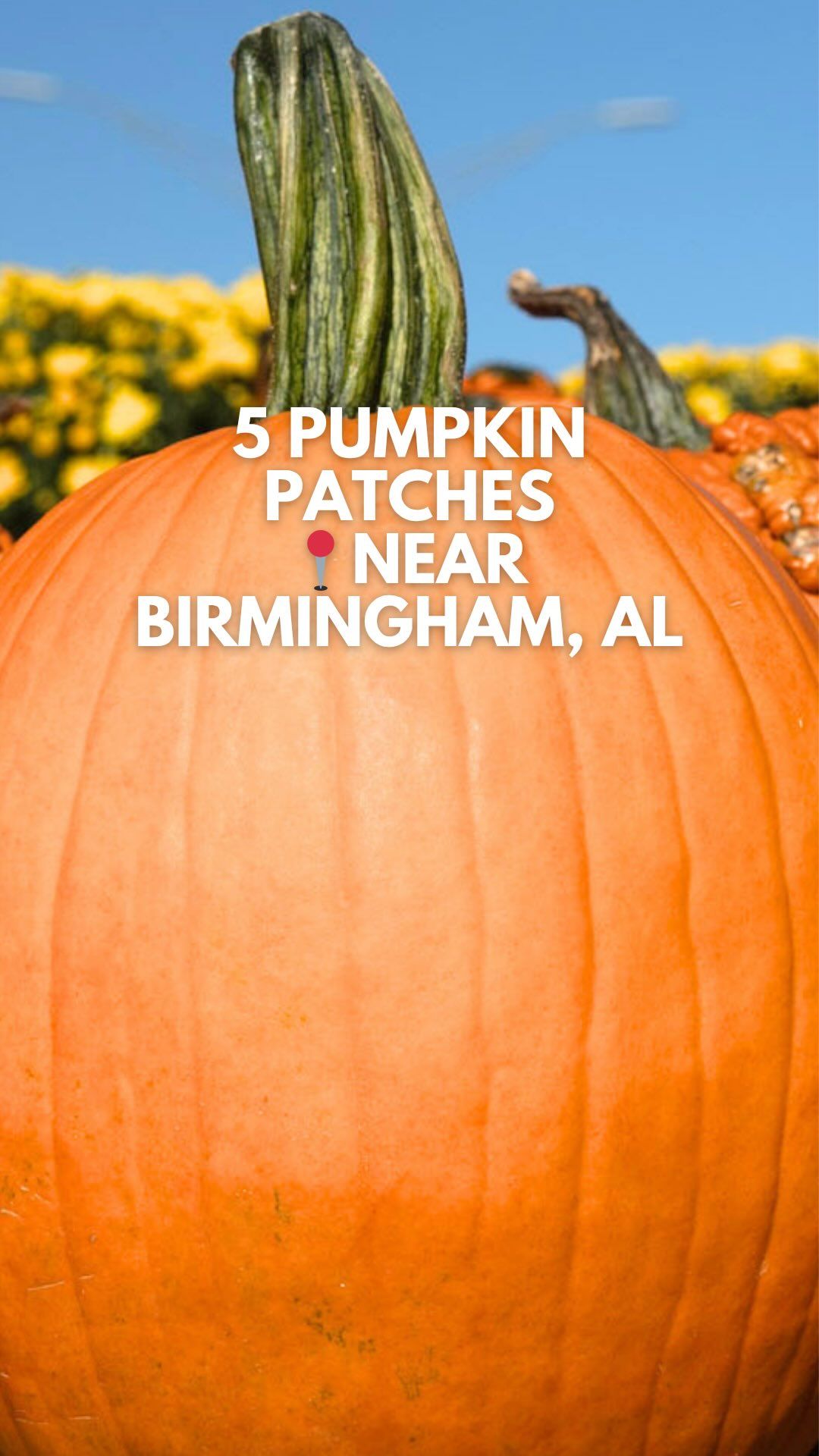 Video post by @bhamnow on Facebook