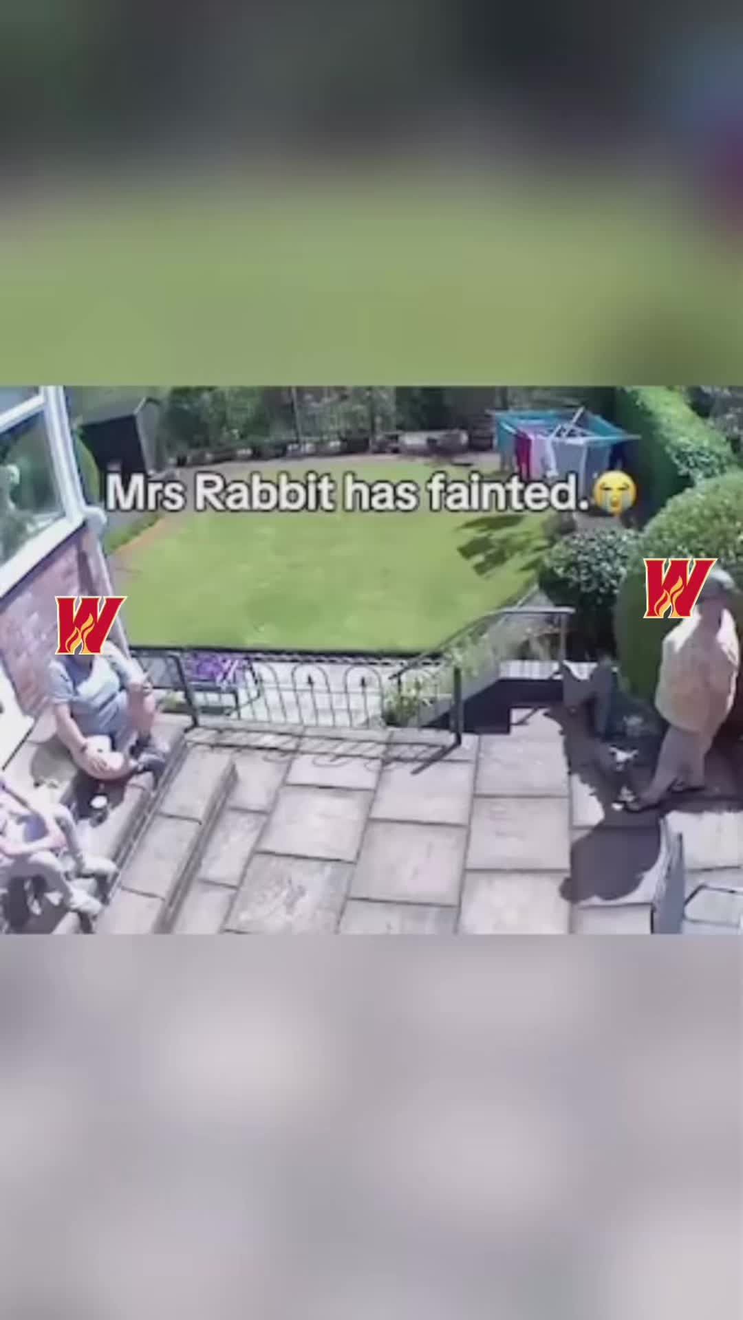 Video post by @roadrunners_ahl on TikTok