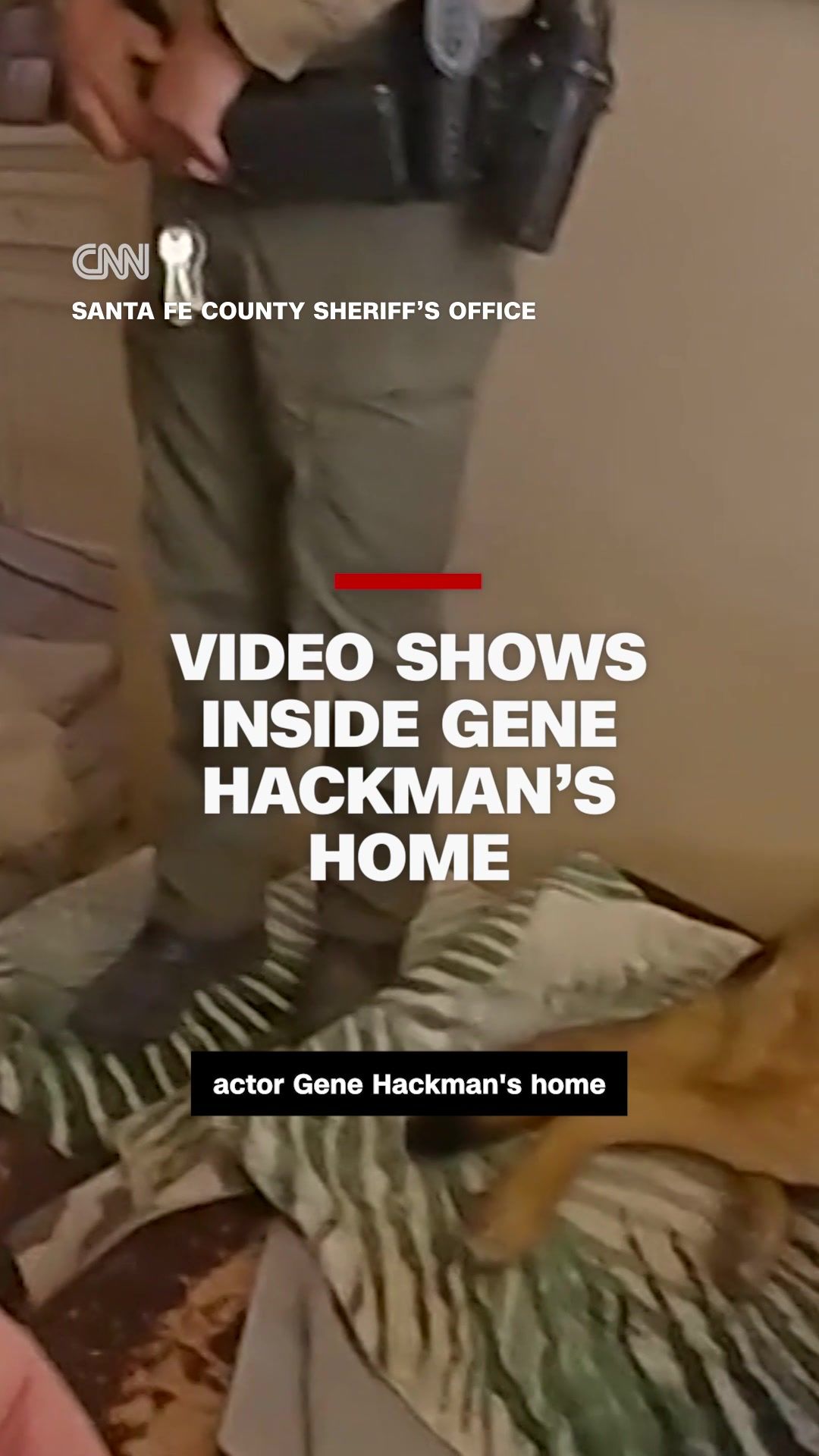 Video post by @cnn on TikTok