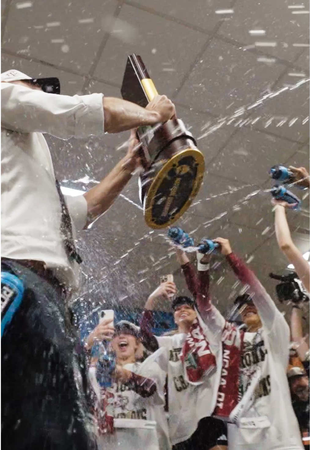 Video post by @ncaavolleyball on TikTok