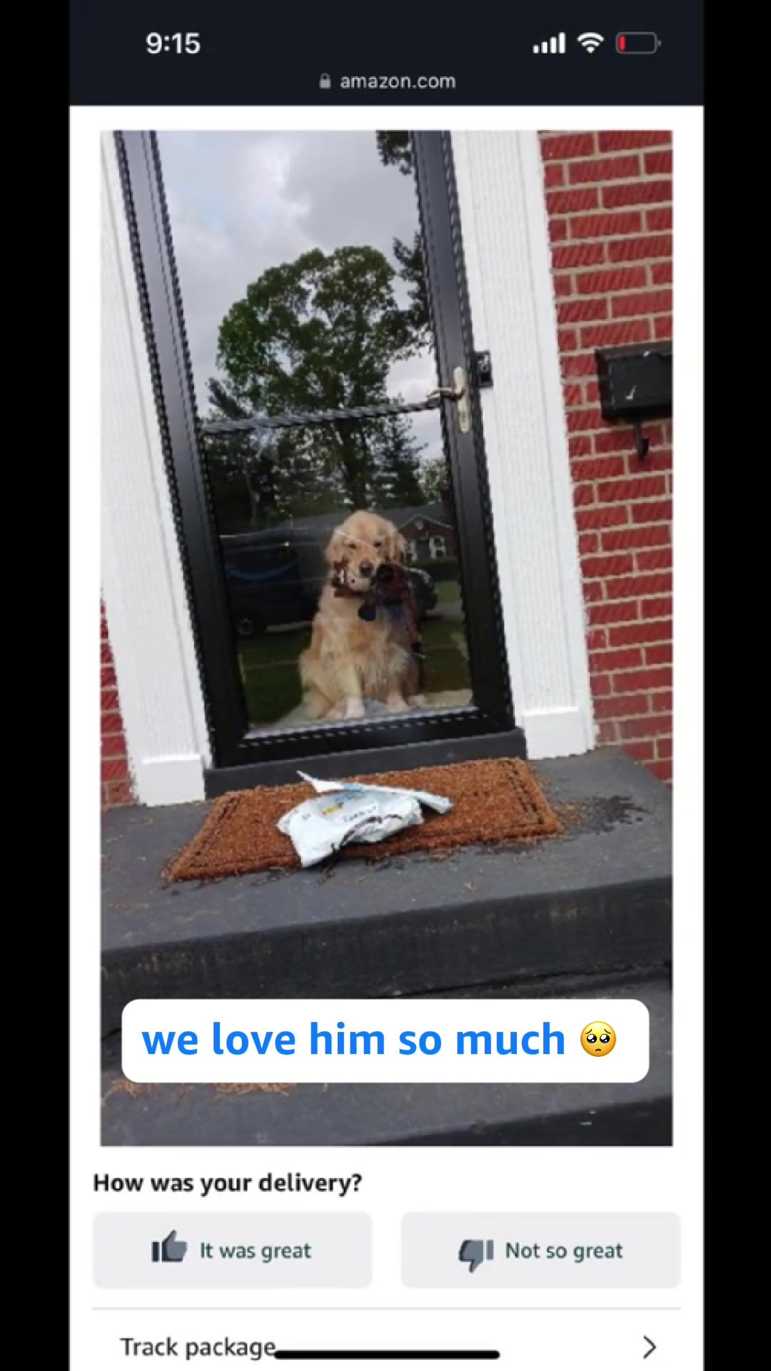 Video post by @amazon on TikTok