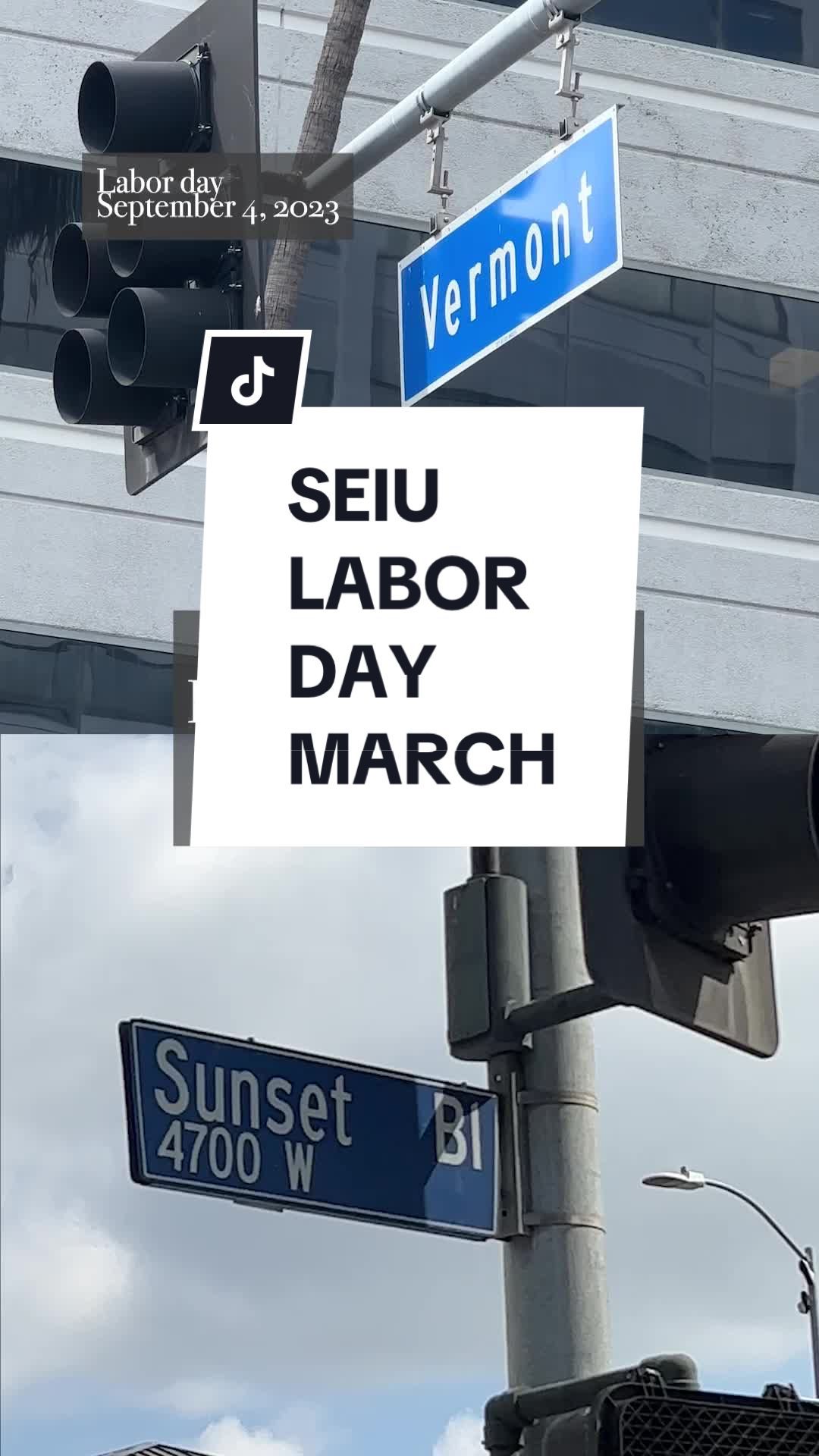 Video post by @saydishwasher on TikTok