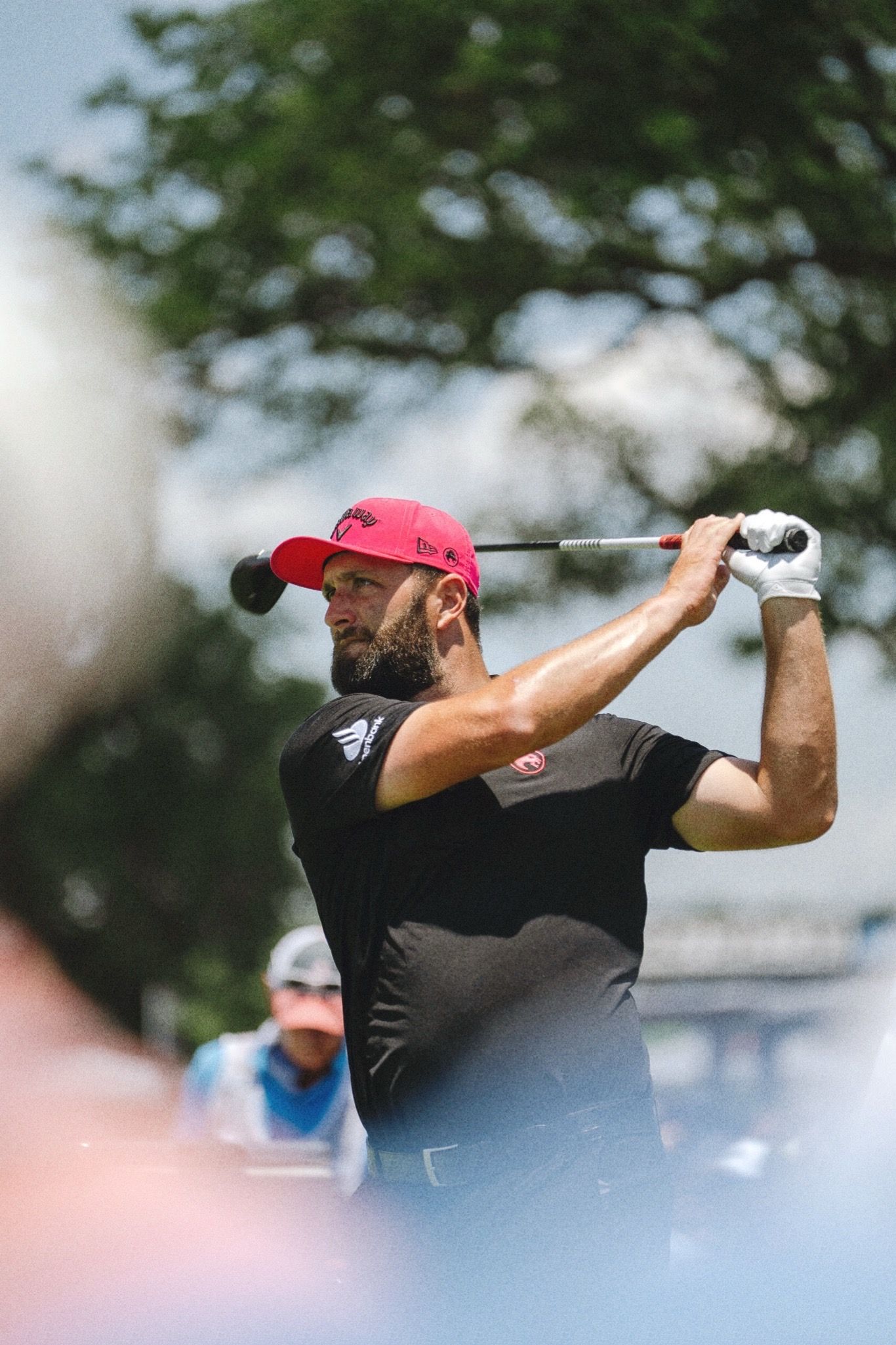 Video post by @adamrohrbough on TikTok