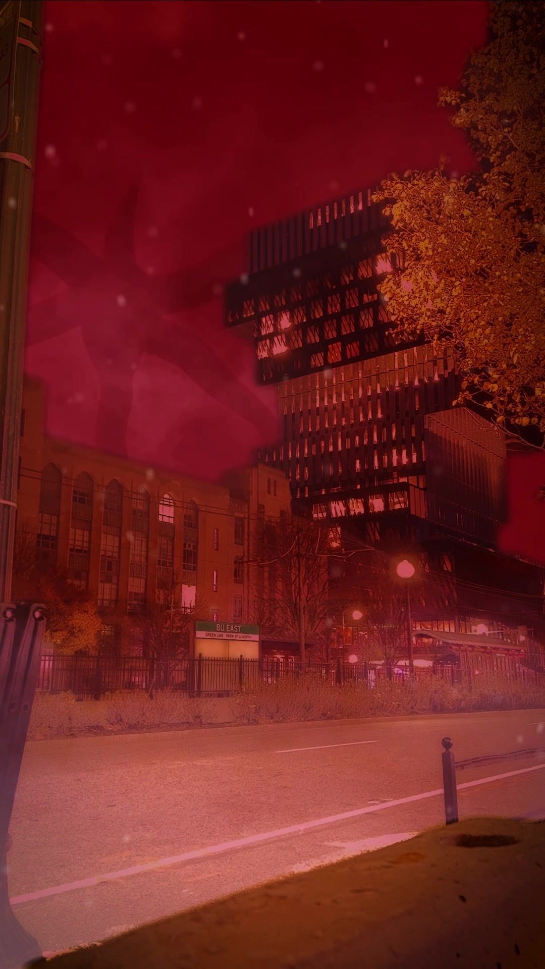 Video post by @bostonu on TikTok