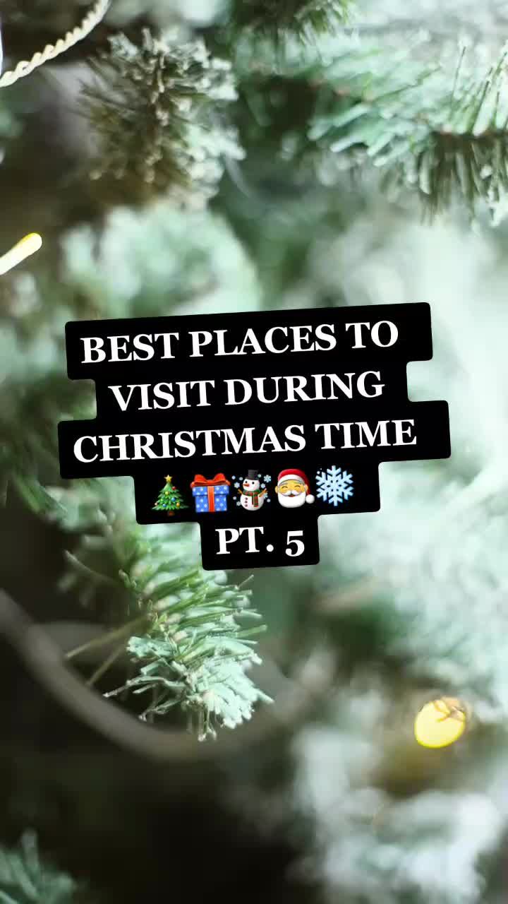 Video post by @xmas.vibes.365 on TikTok